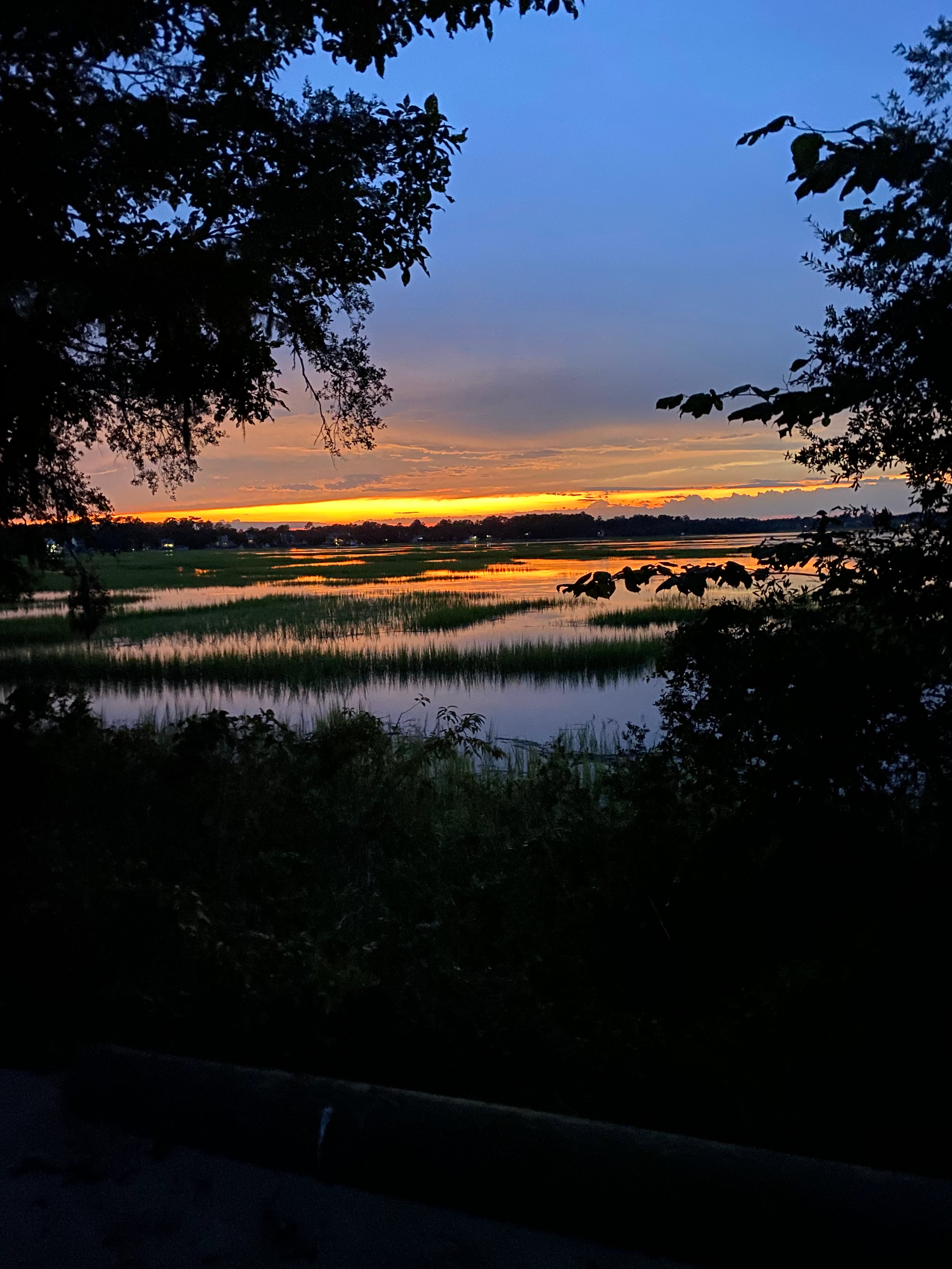 Marsh Cove