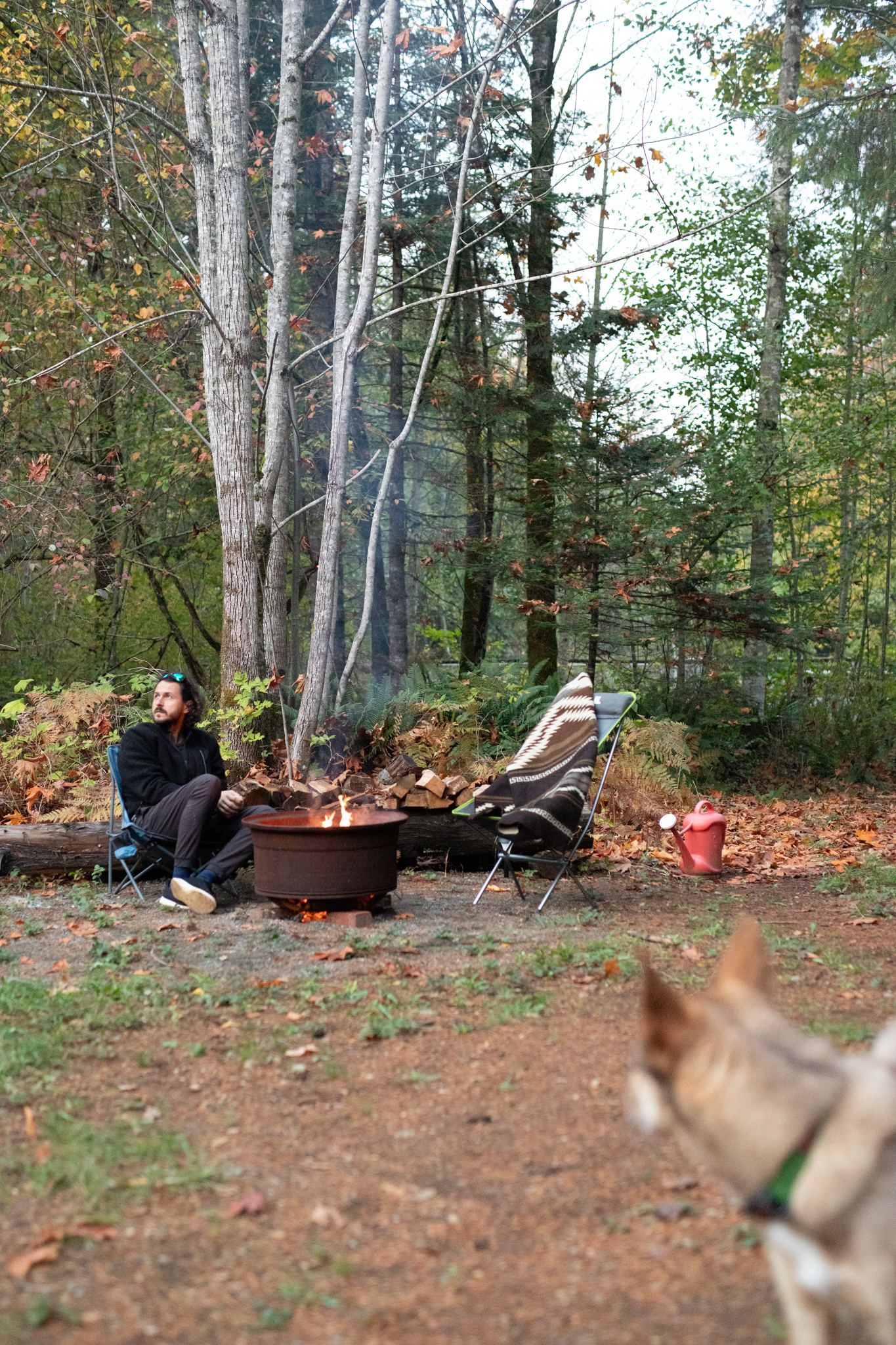 The fire pit in front of the pond. Plenty of dry wood provided!