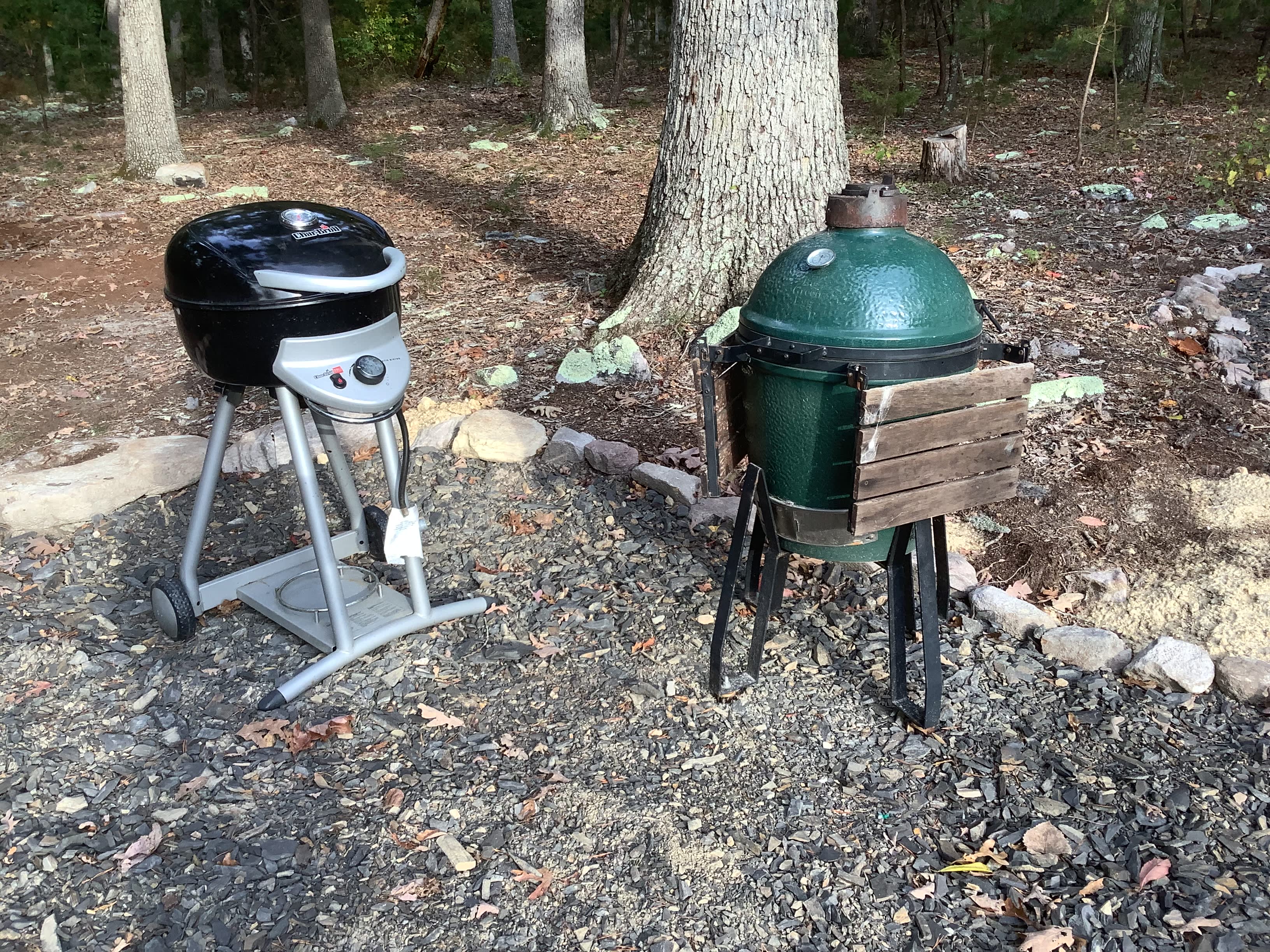 Gas grill and egg