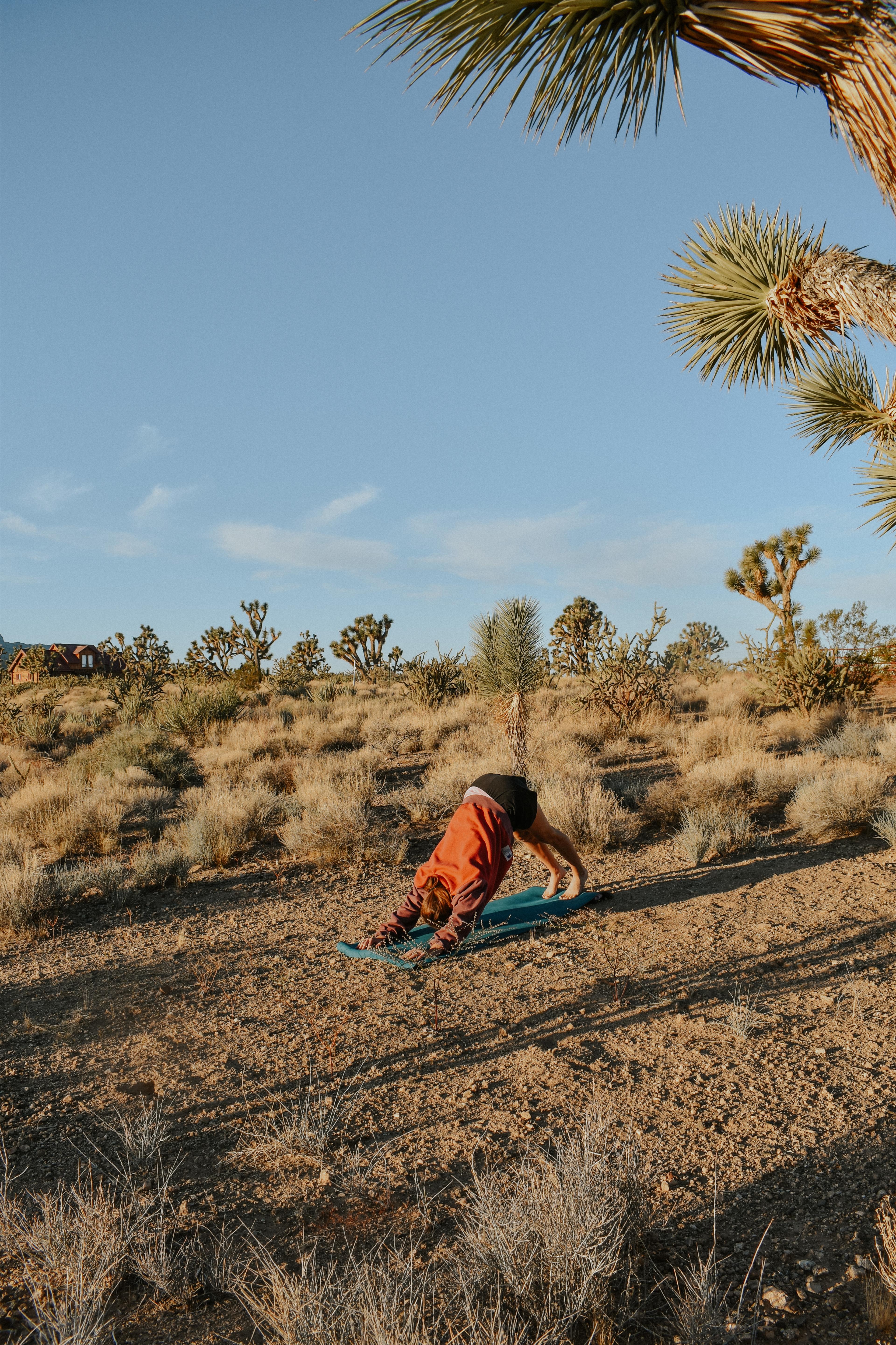 The cleared tent site was perfect for morning yoga!