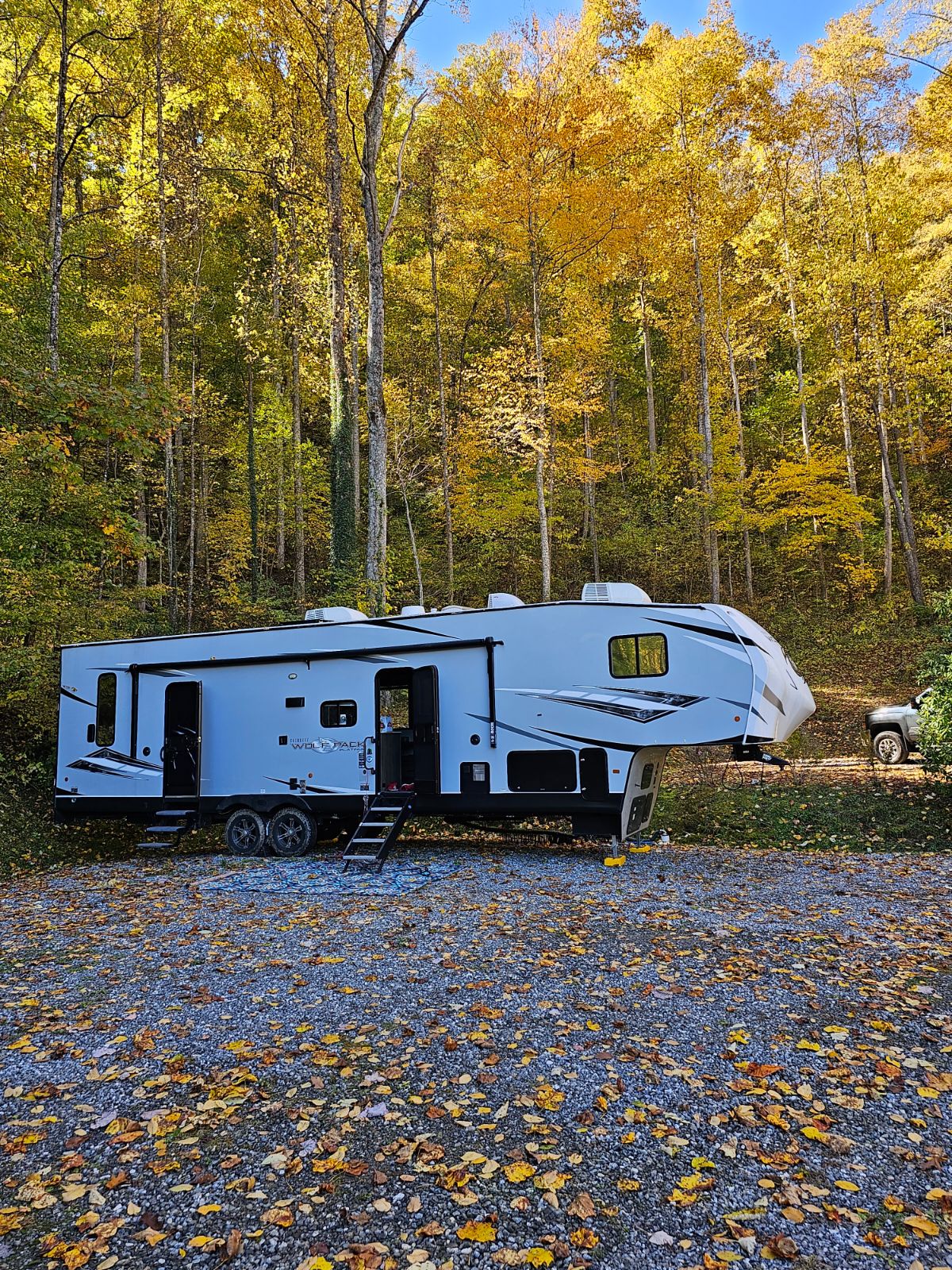 The Cove at Dick Branch