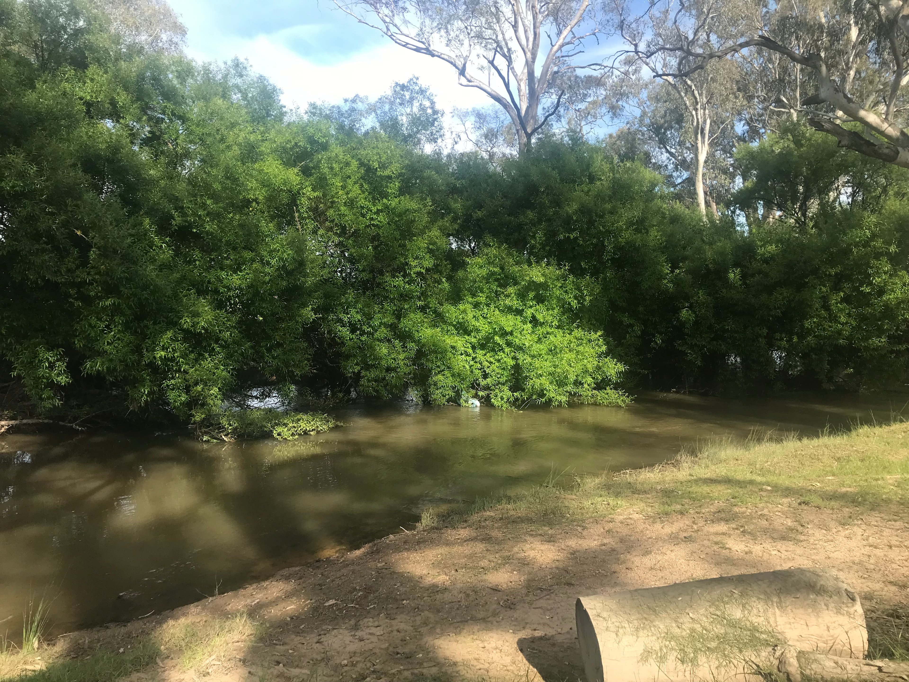 Billabong Flats Farm