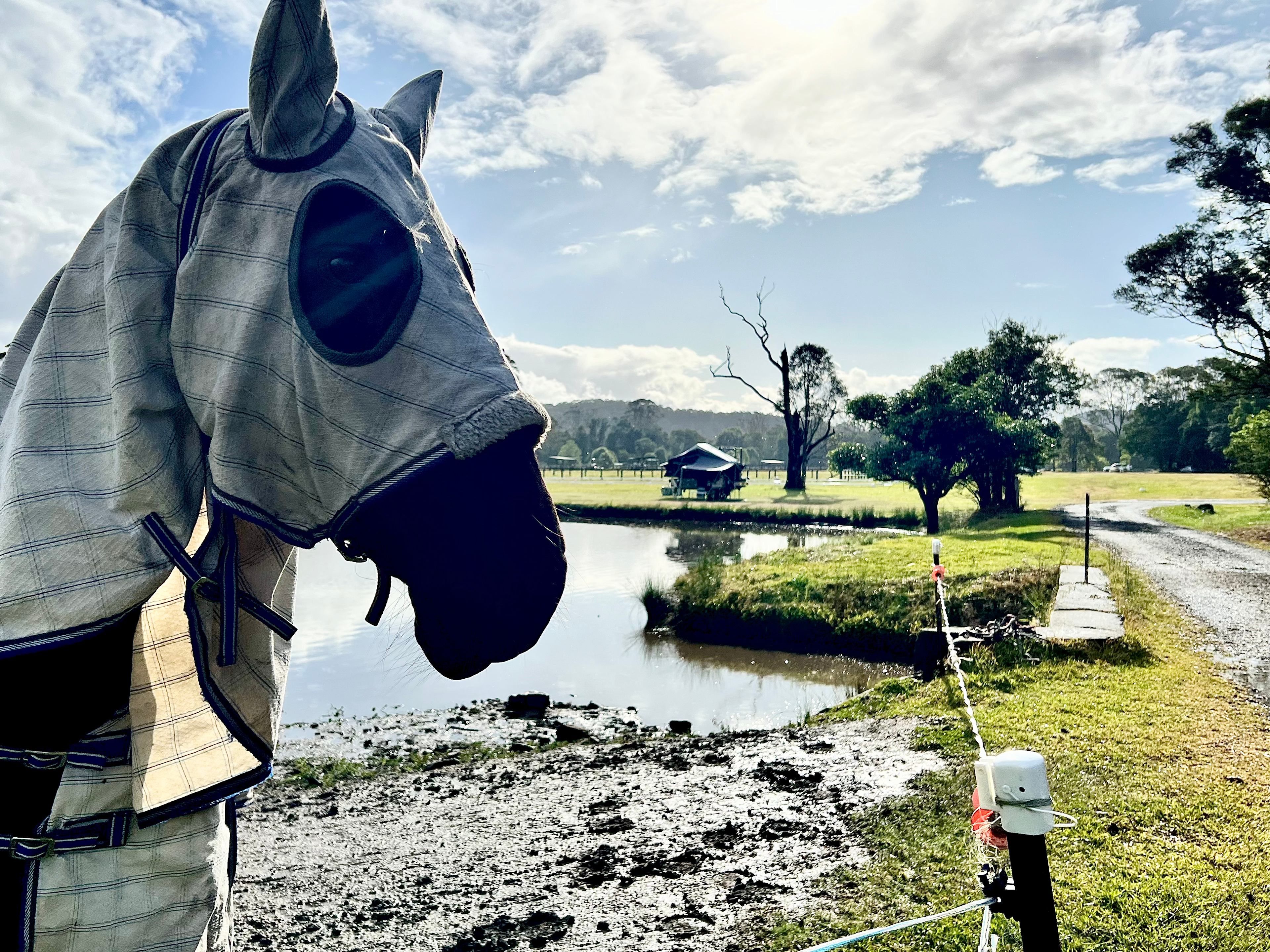 Lakestead Farm