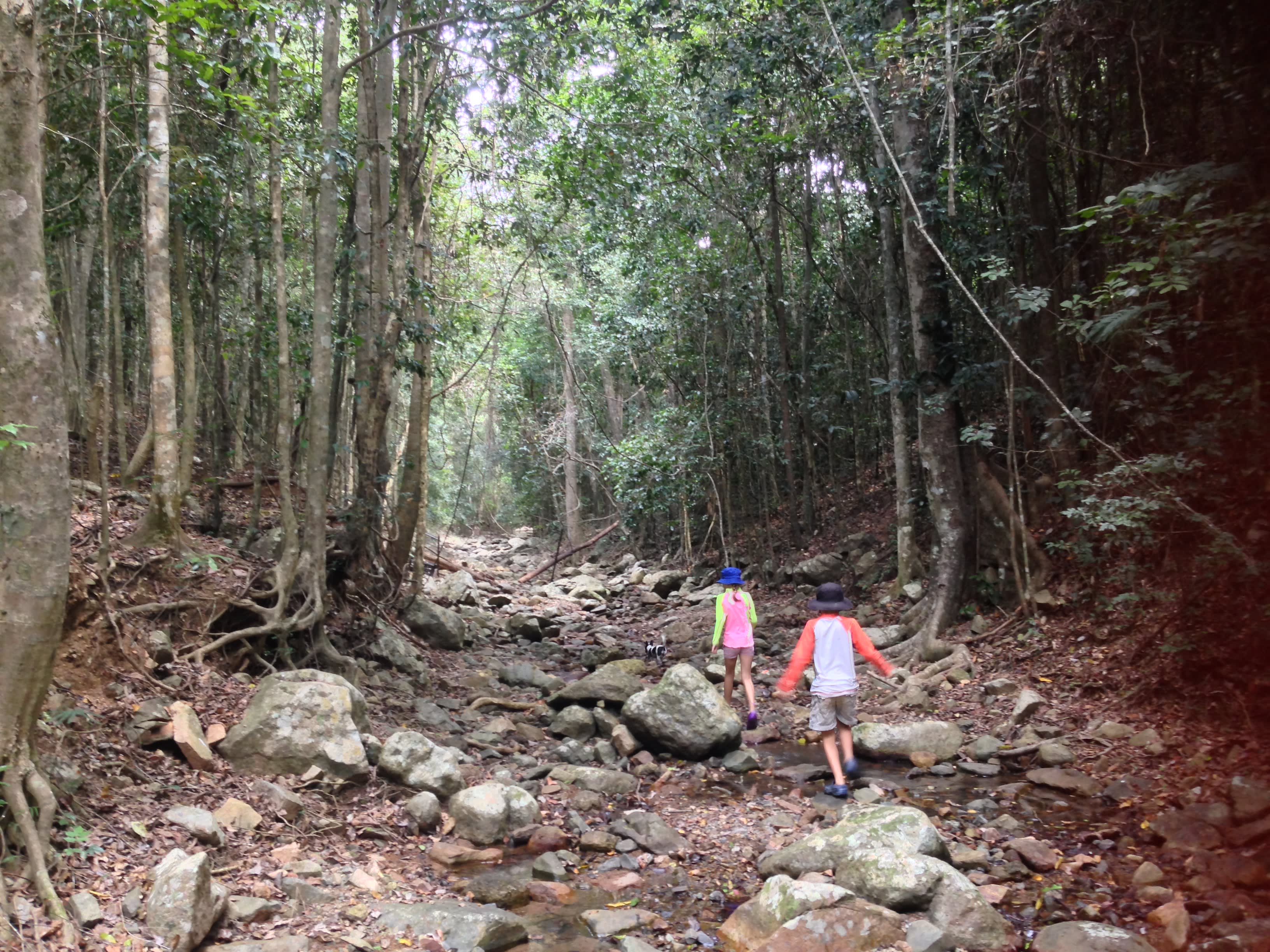 Middle Creek Dam Campsites