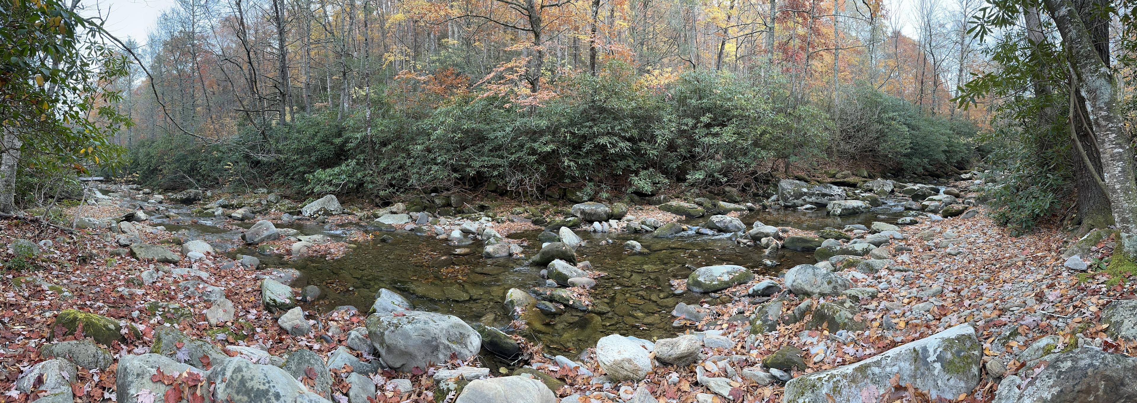 Rock Creek 