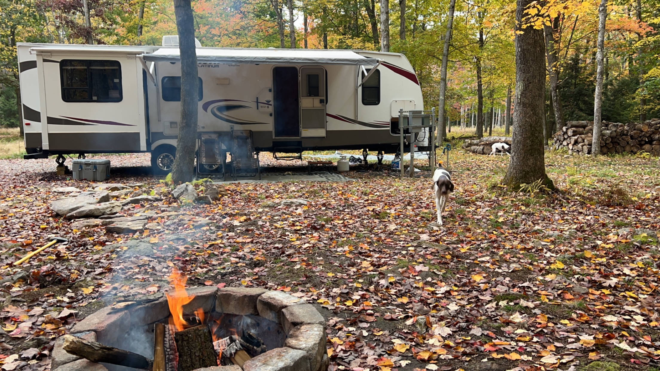 Clear Creek Cook Forest Campsite