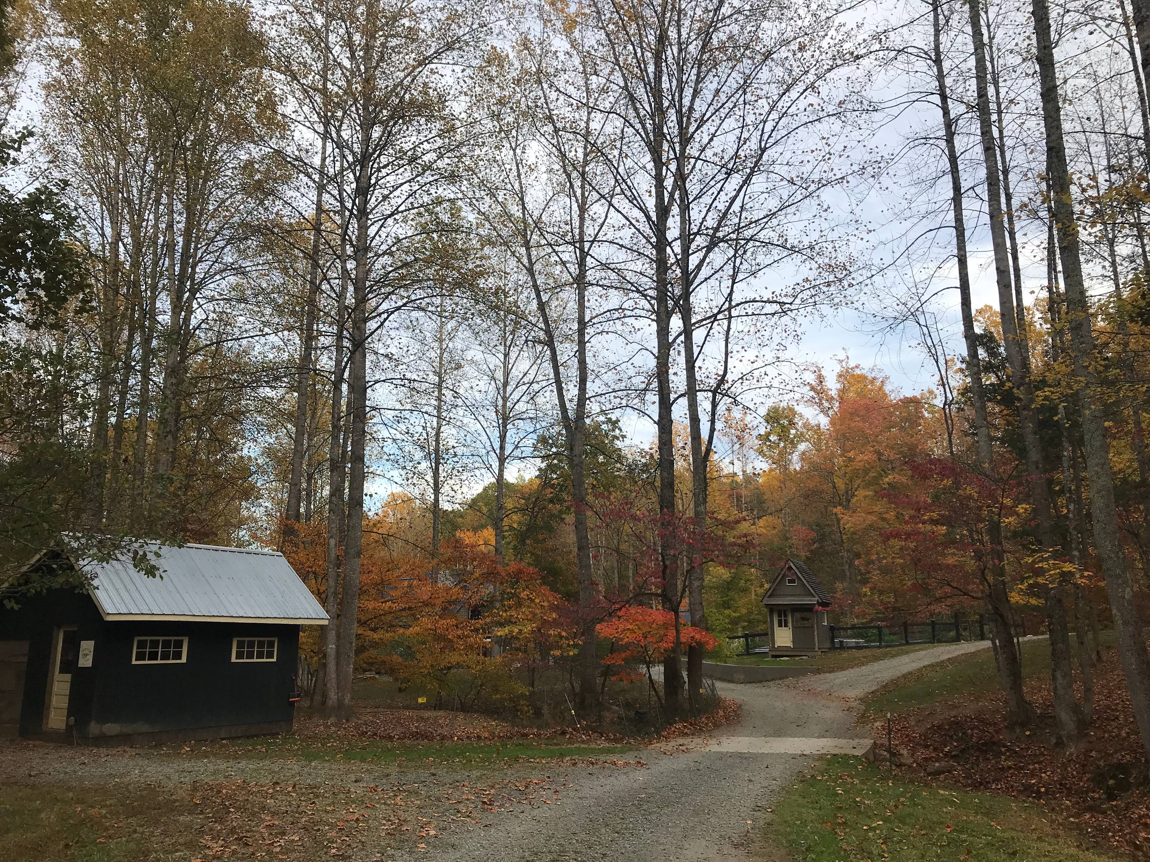Watercress Inn at Landon Farm