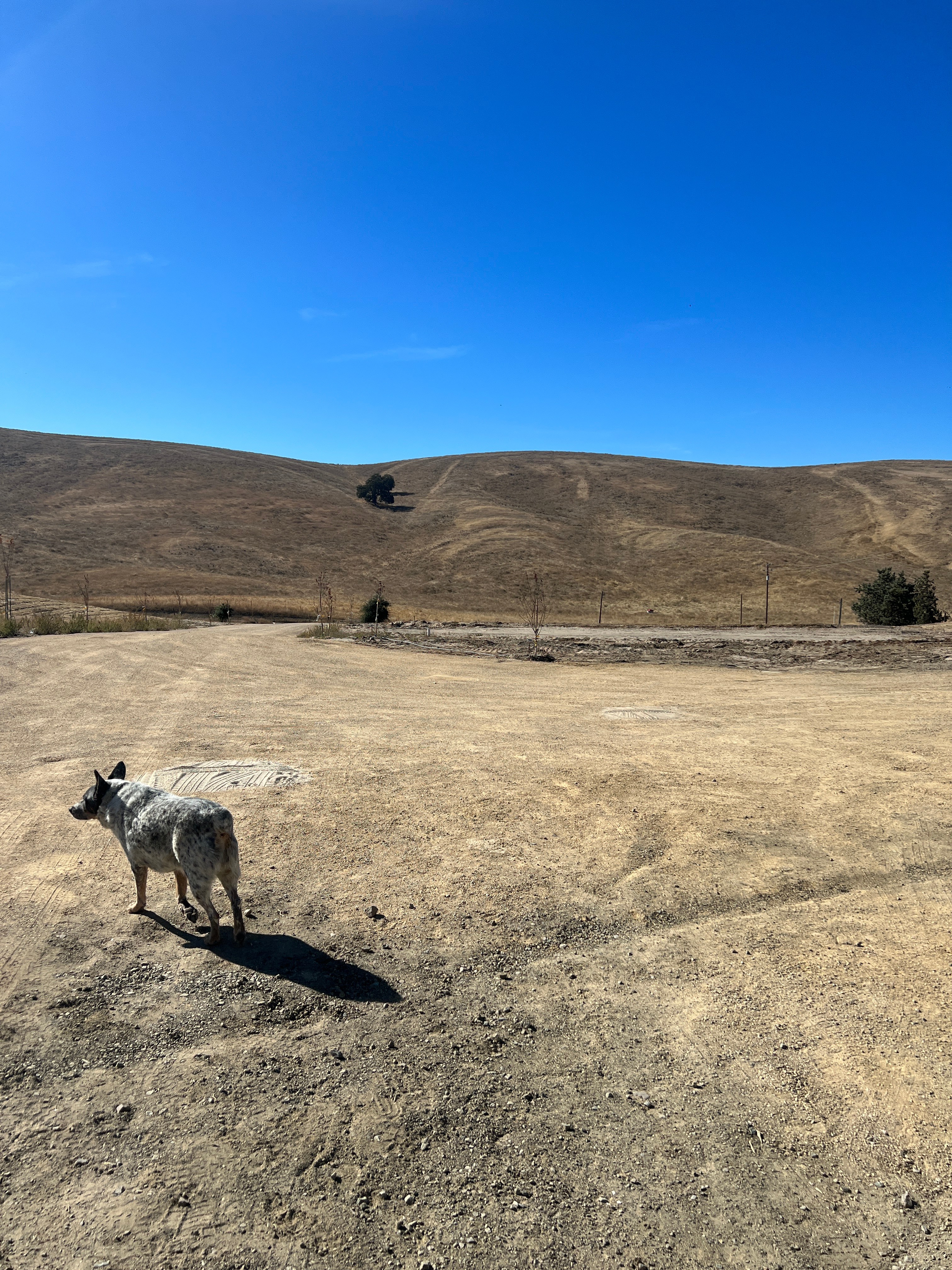 Skelton Family Ranch