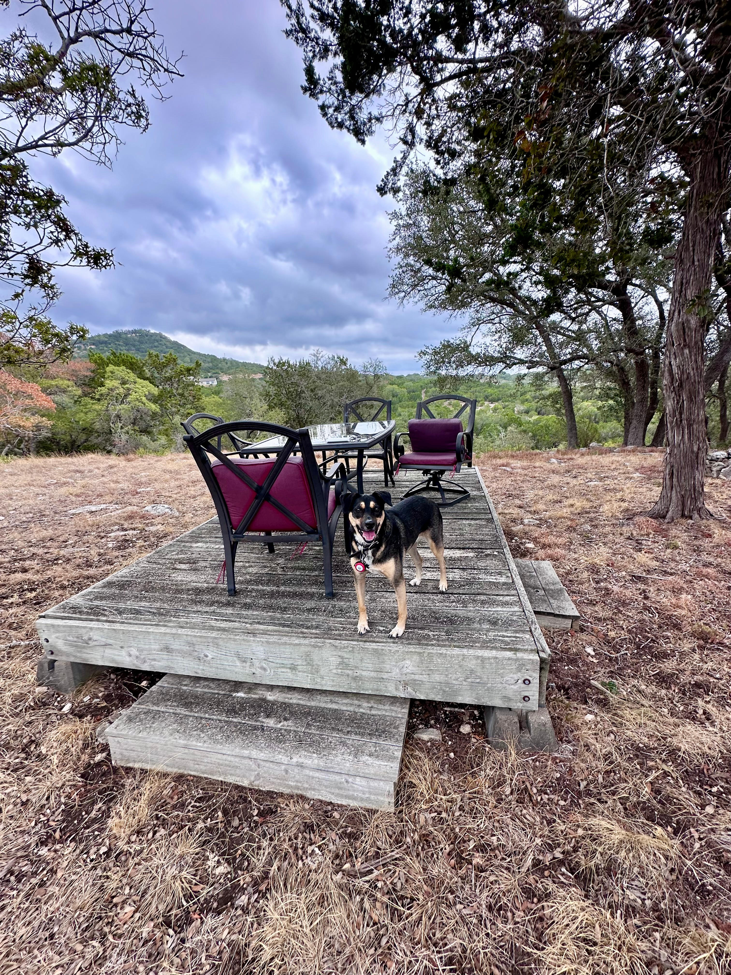 Twin Falls: Glamping Tents