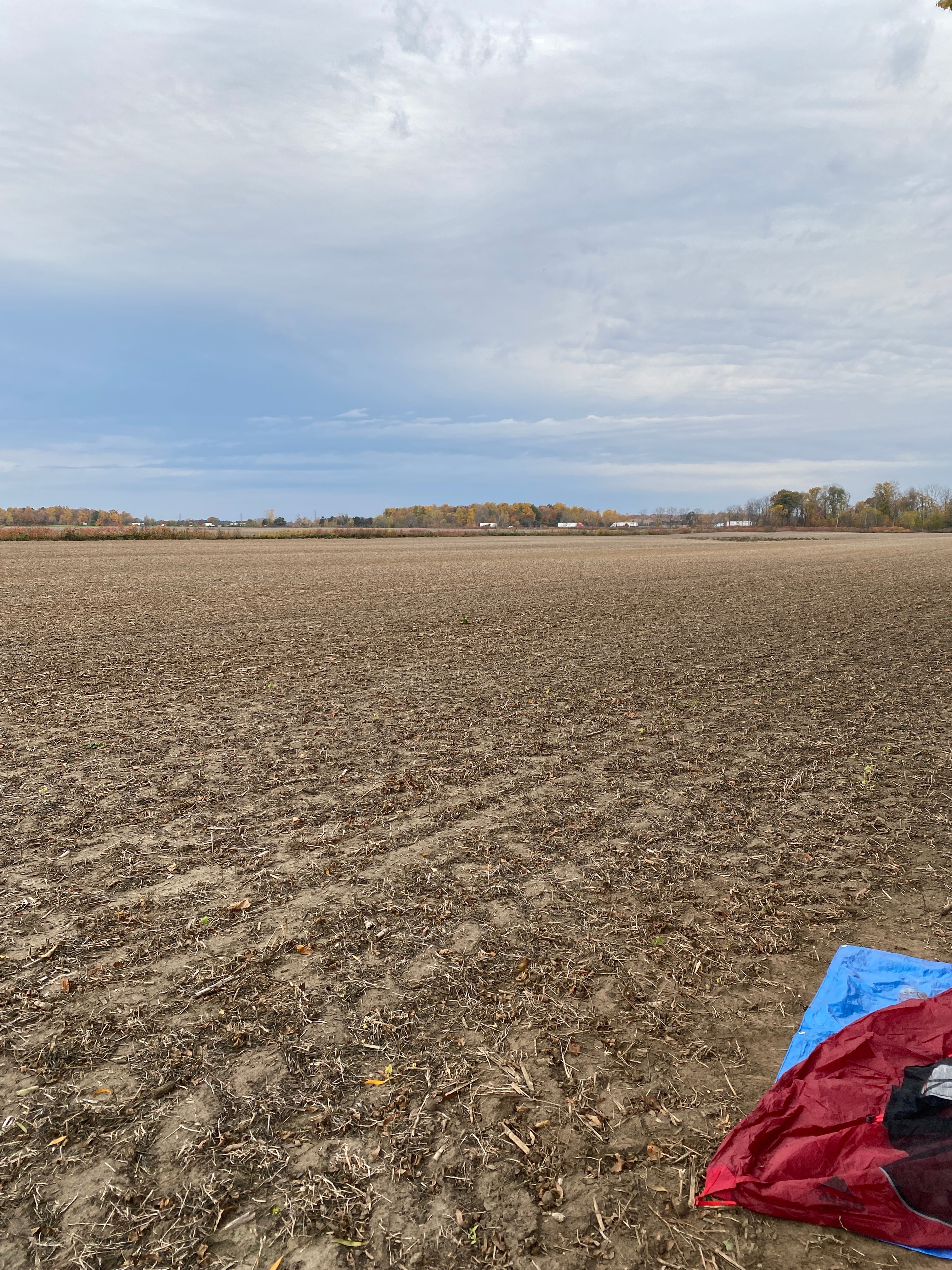 Site, and view of Highway 401