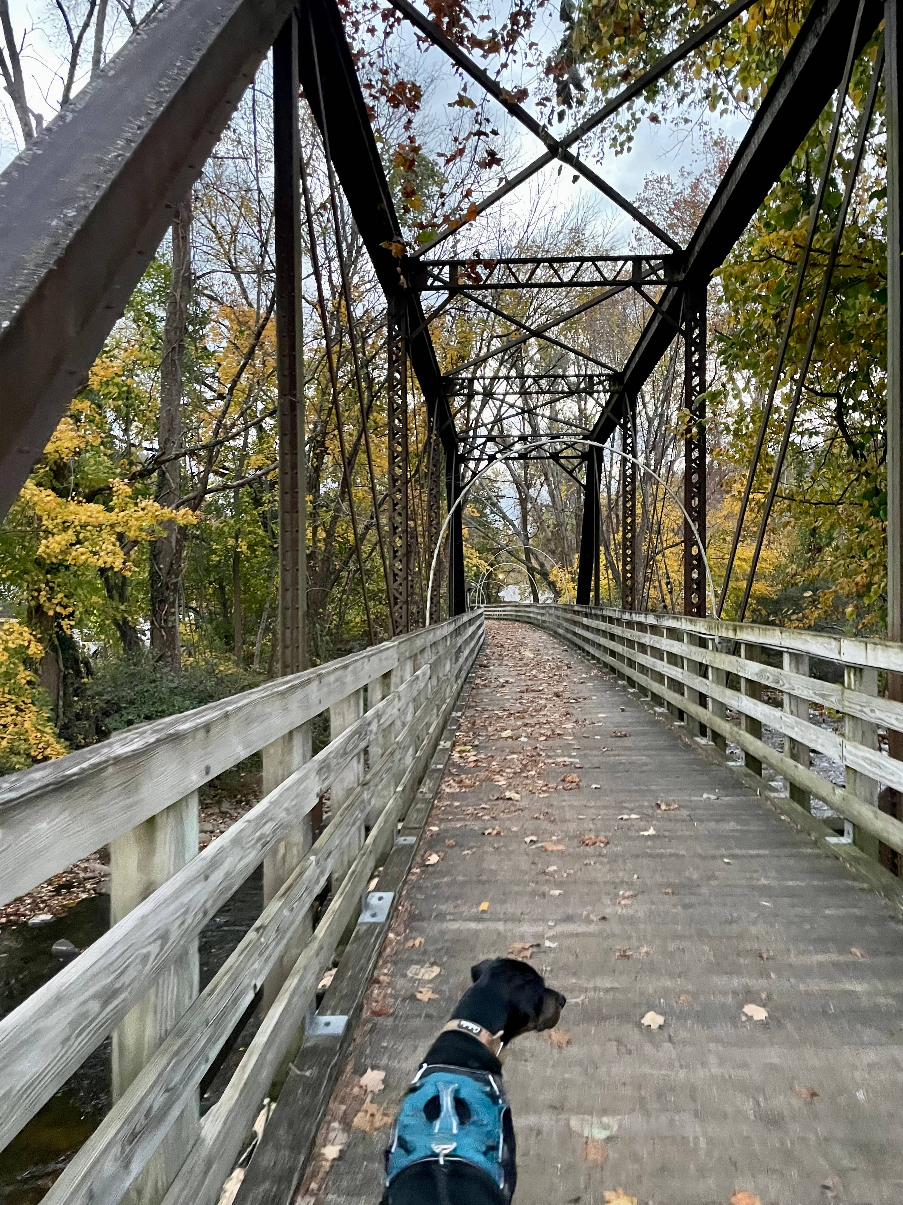 Virginia Creeper rail trail 