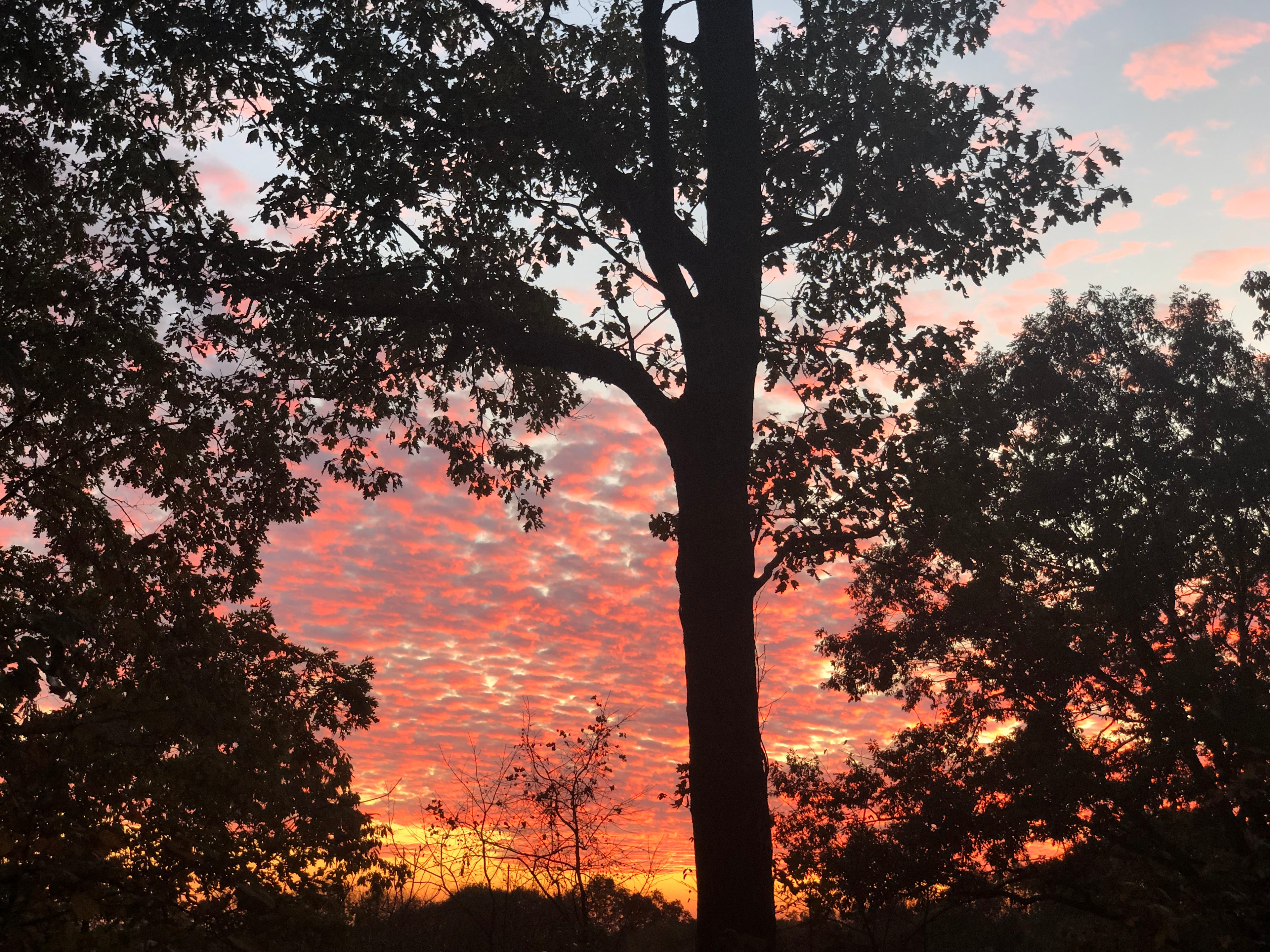 Camp Nashville Highland Rim