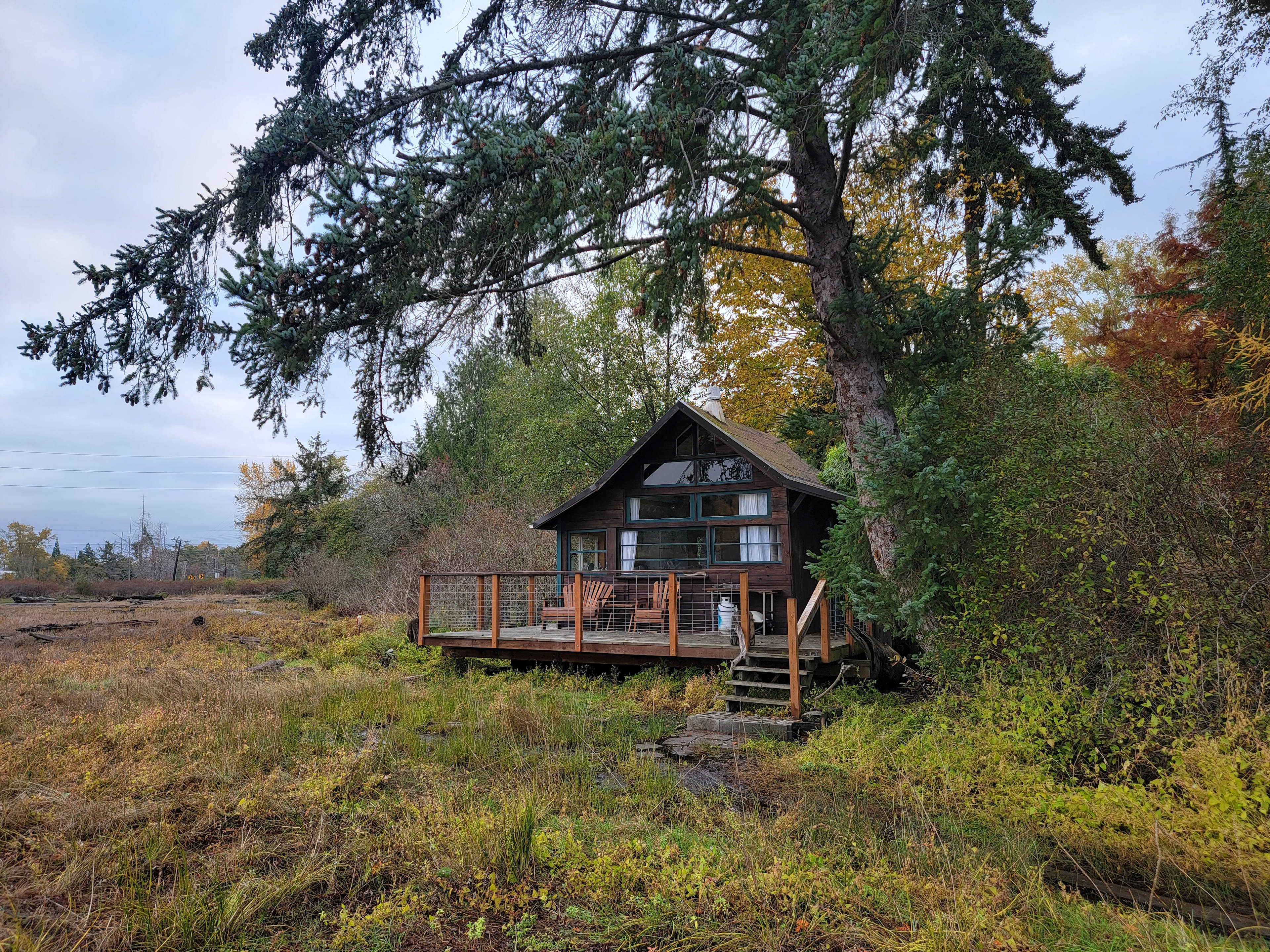 Bamboo cabin