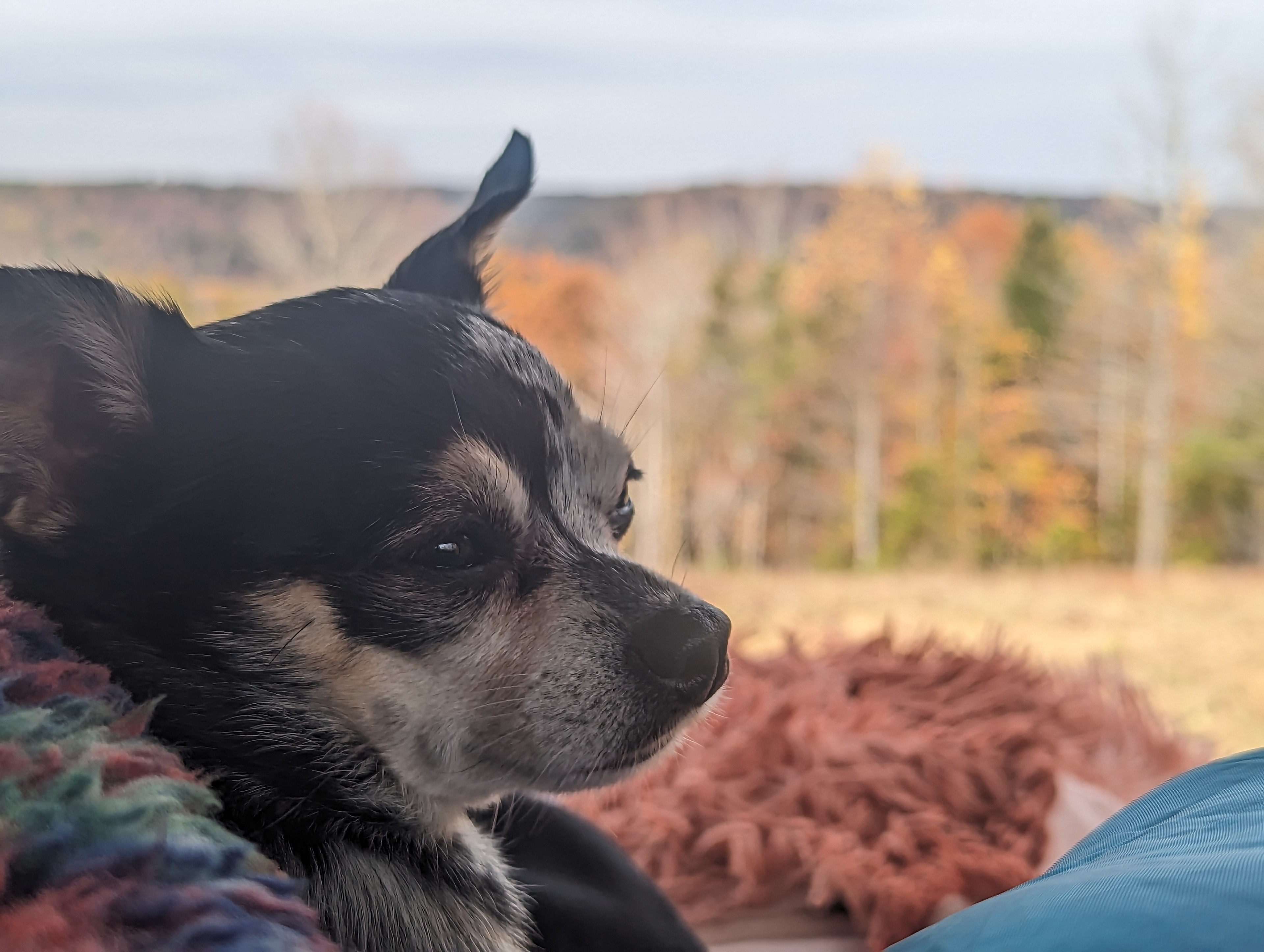 Possum Ridge Ranch