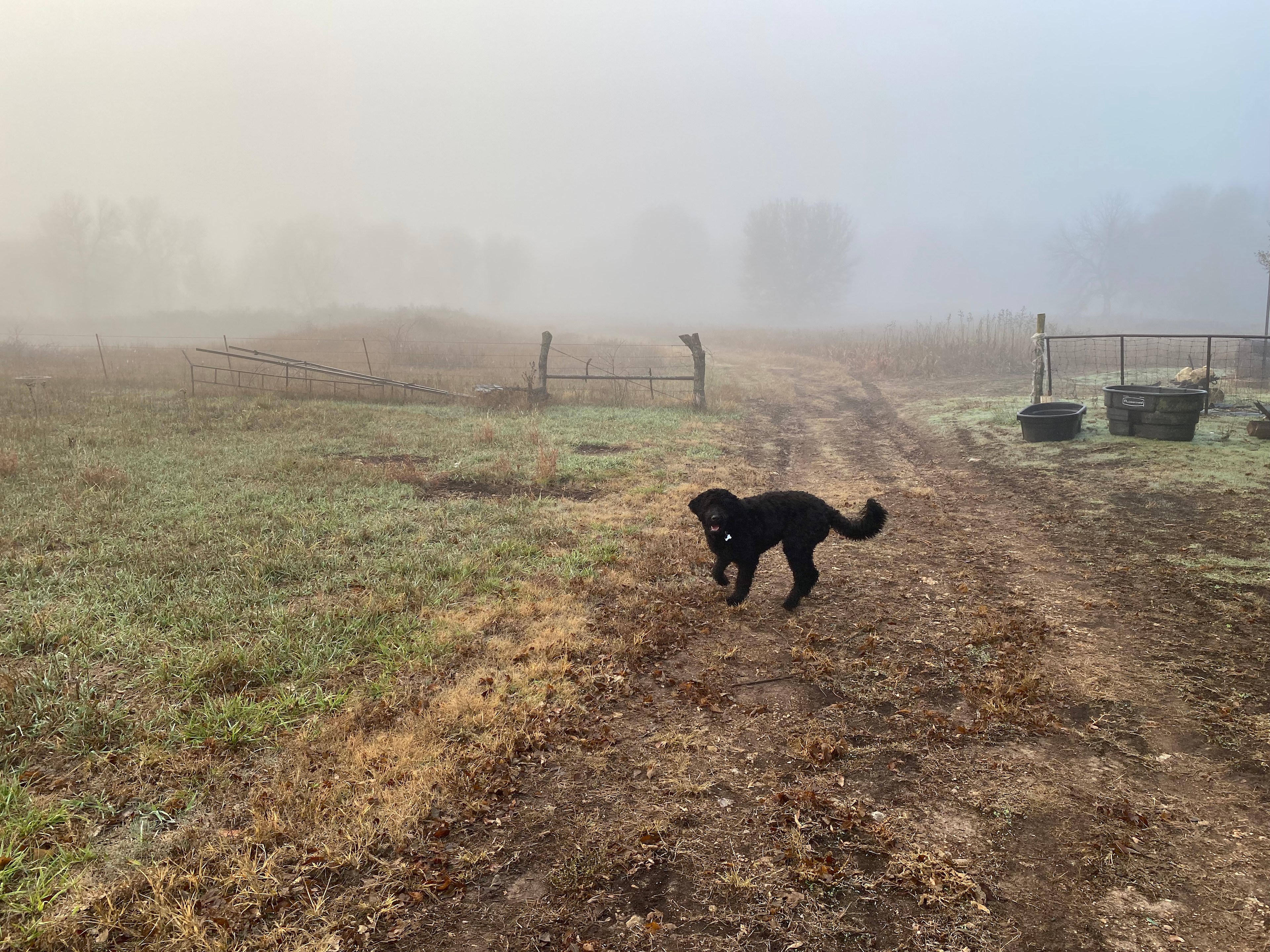 Eric M.’s Land