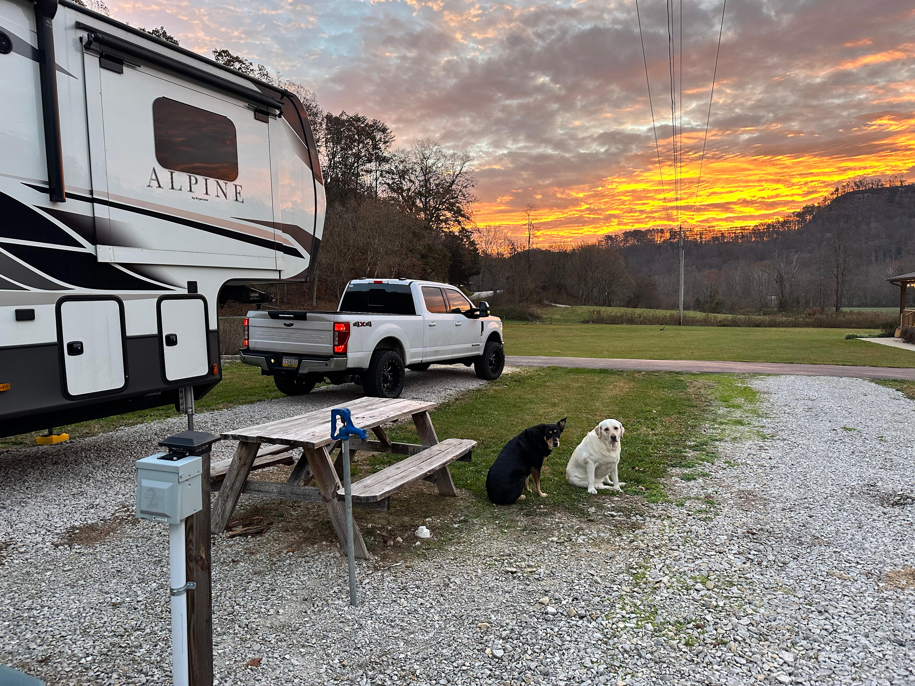 Pine Tree RV Park
