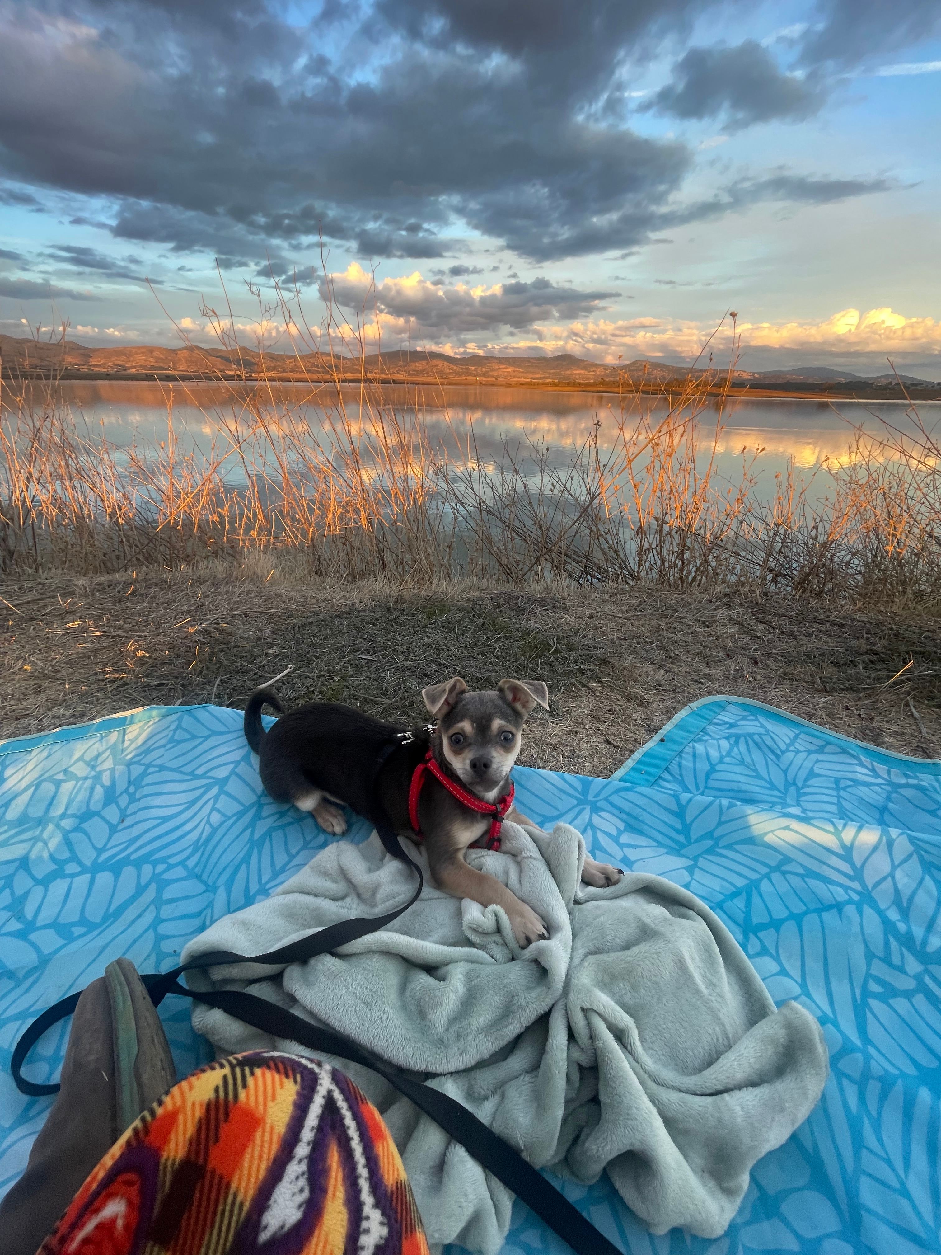 Rocksteady Adventures