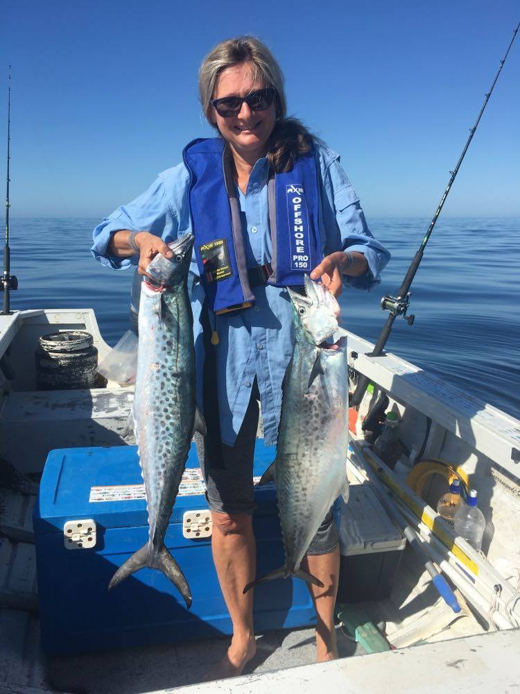 Nambucca Valley Train Carriages