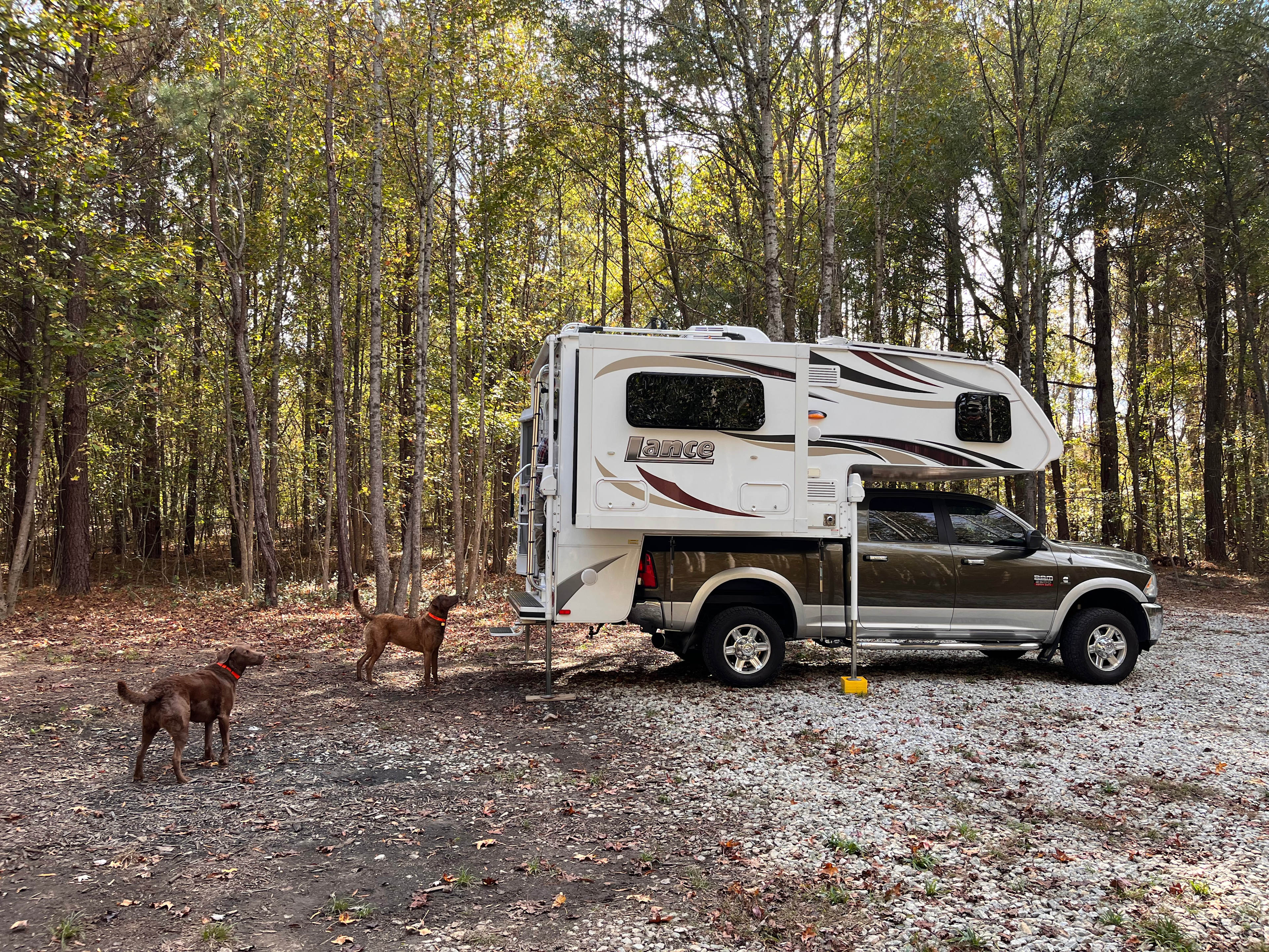 Quail Run at Pate's Creek