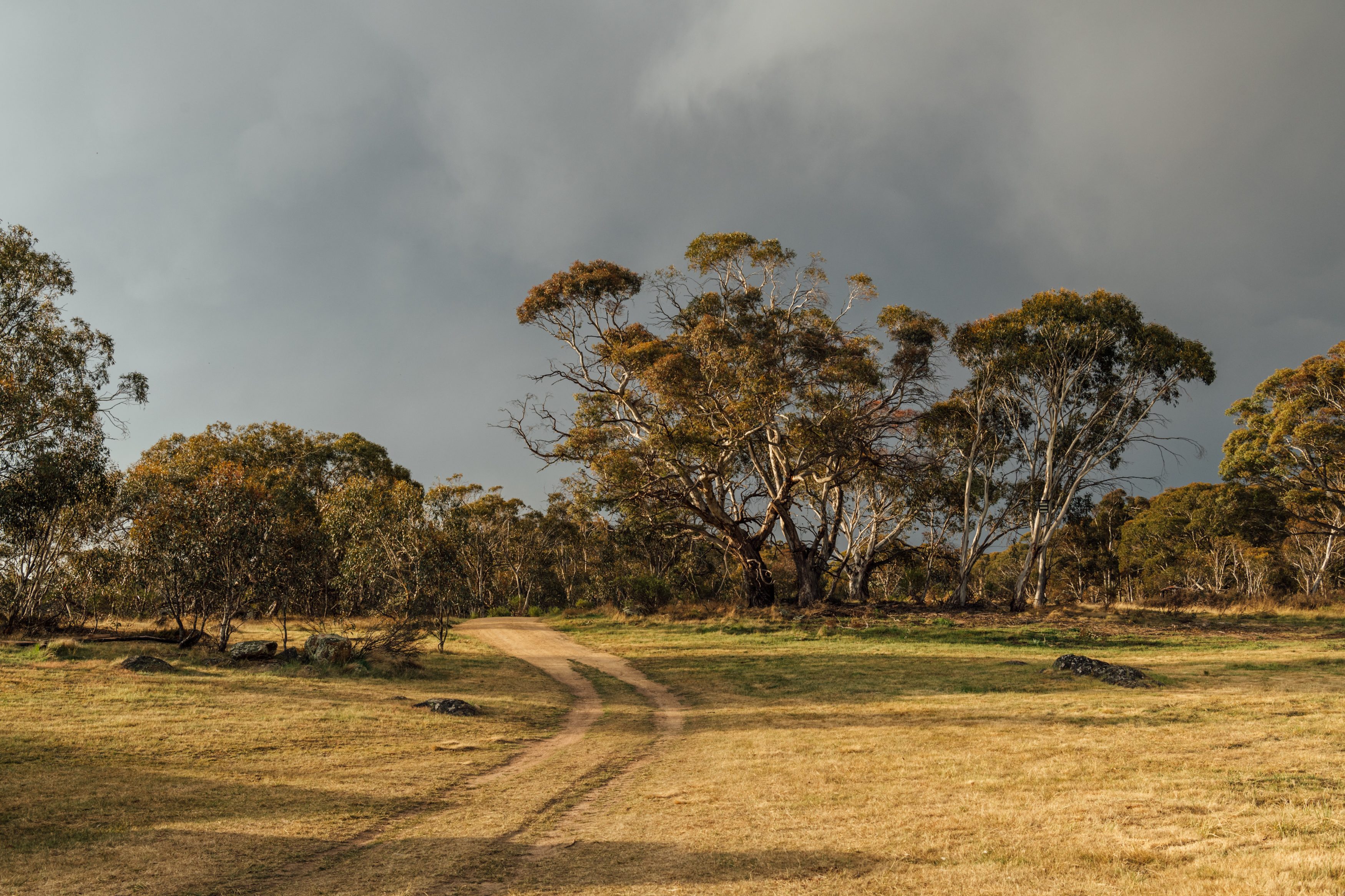The property is full of paths like this to drive and walk along! 
