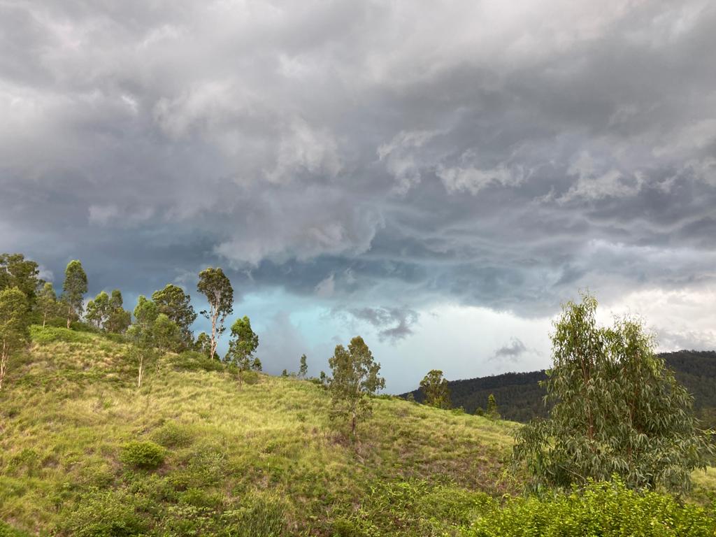 Figtree Farm at Findon Creek