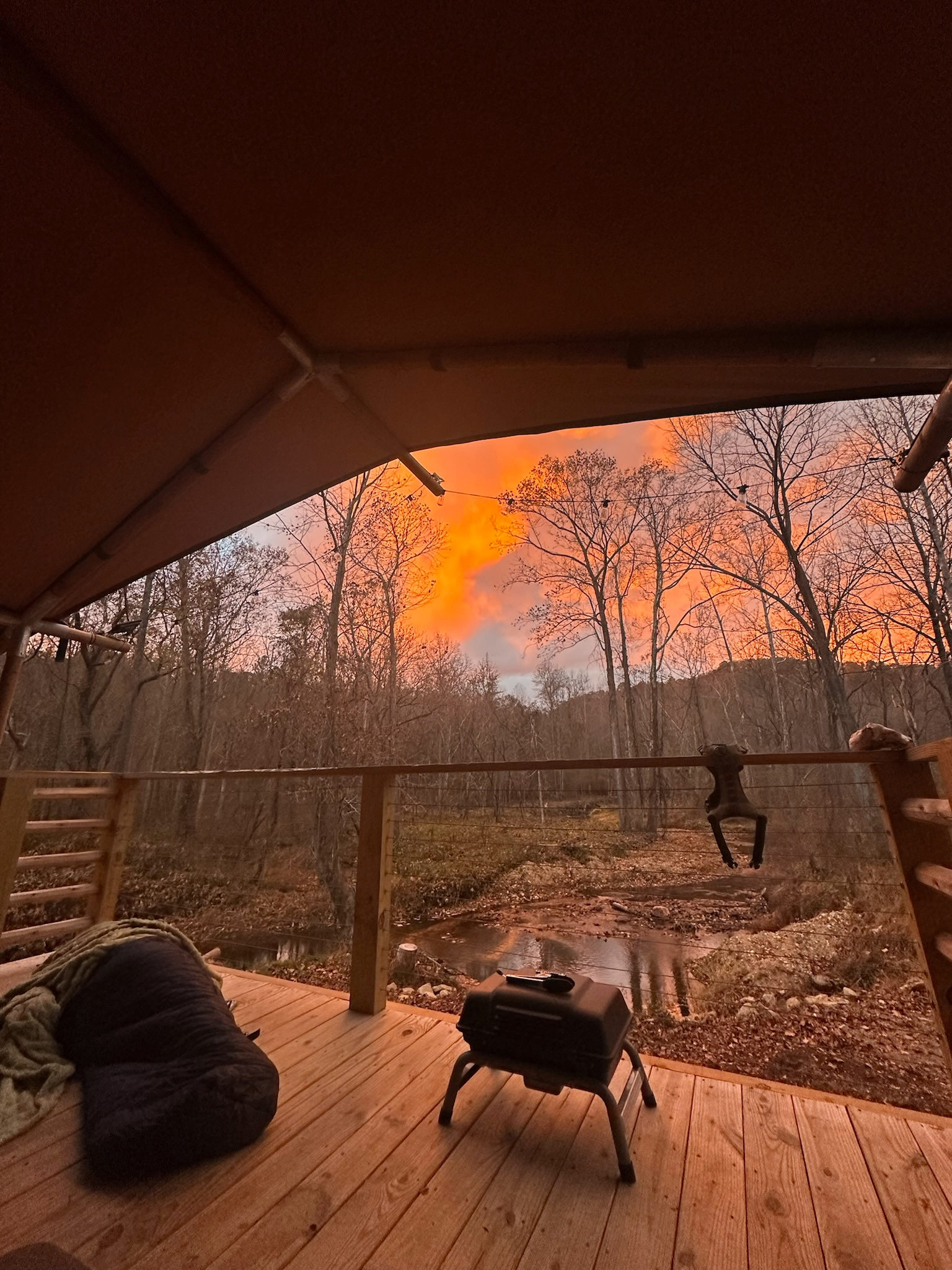 TangleWood Creekside Campsites
