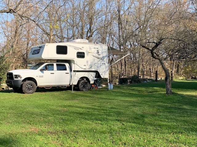 Apple trees! This one was out favorite. It seemed to have it's own personality