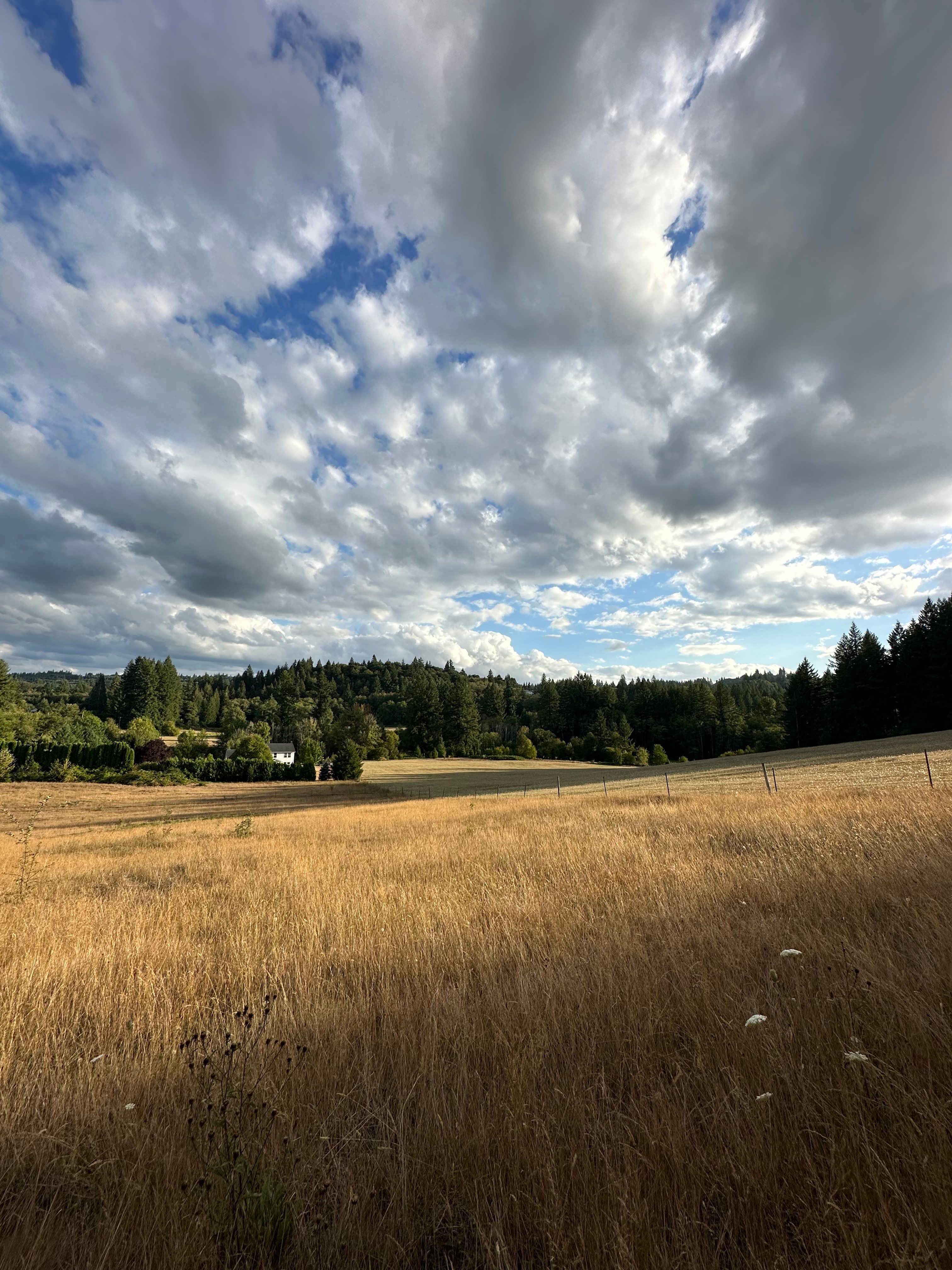 Walnut Acres