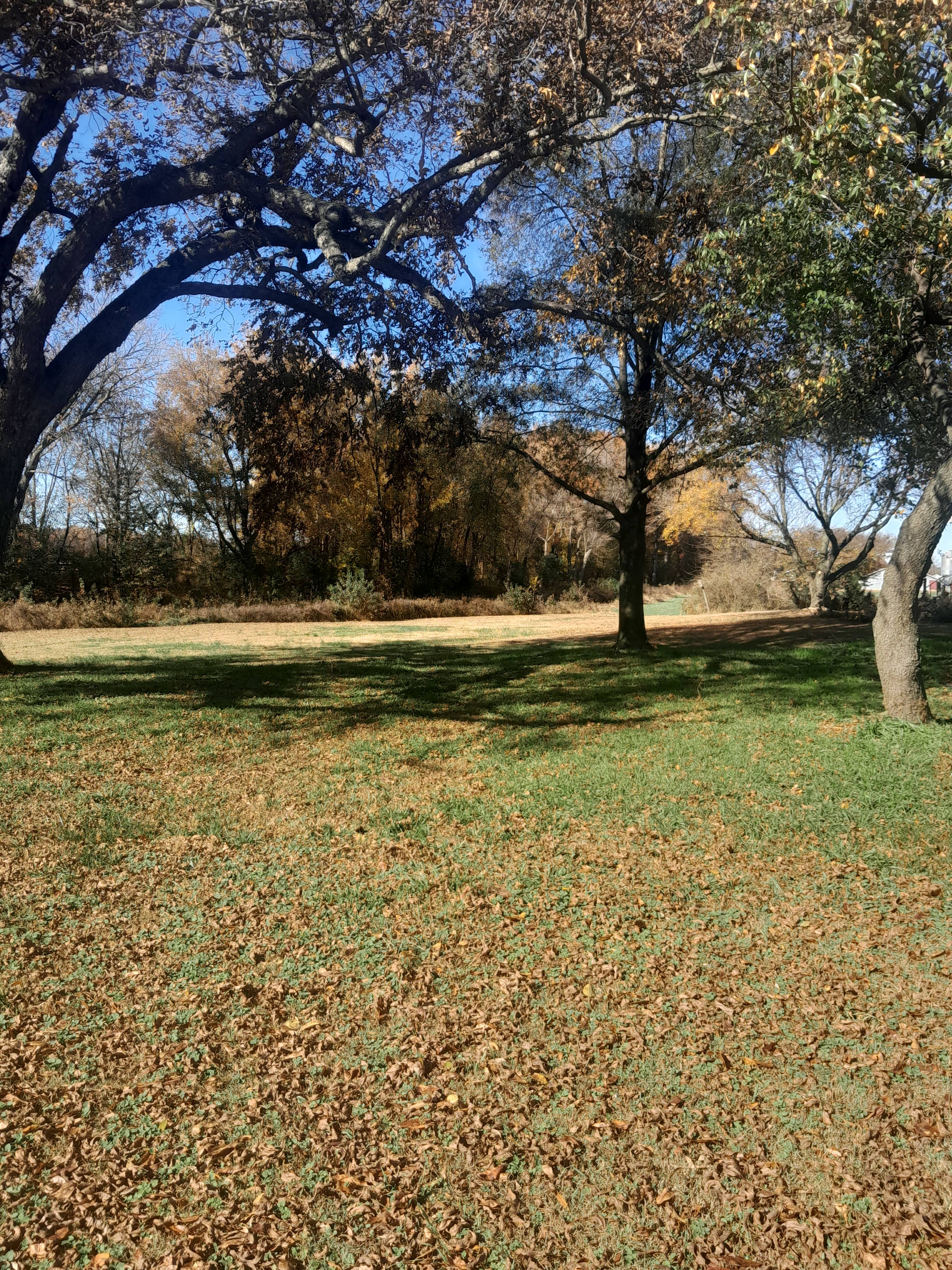 Dale's Campground