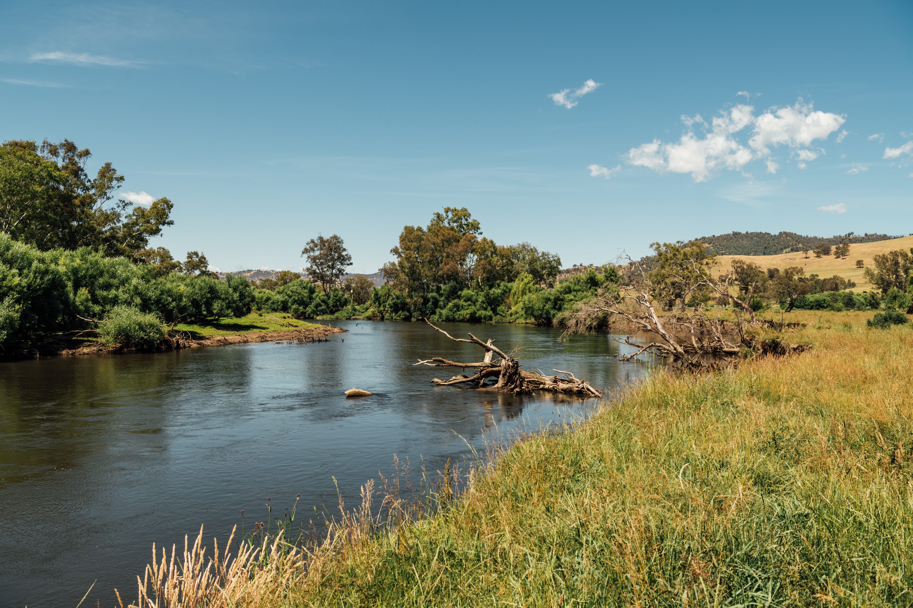 a lovely river view from The Willows