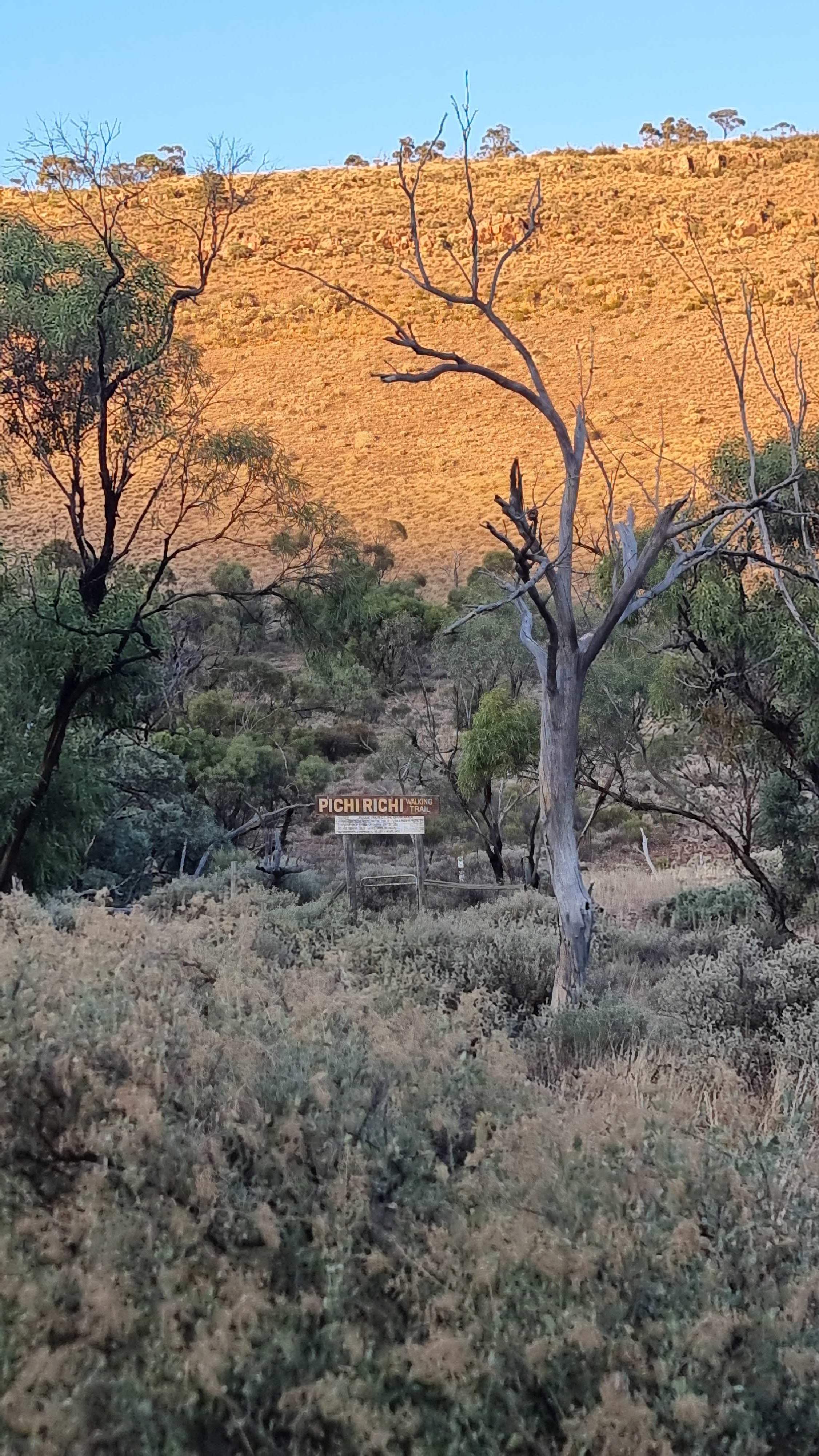 Pichi Richi Park