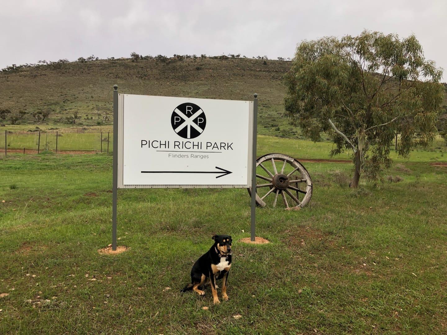 Pichi Richi Park