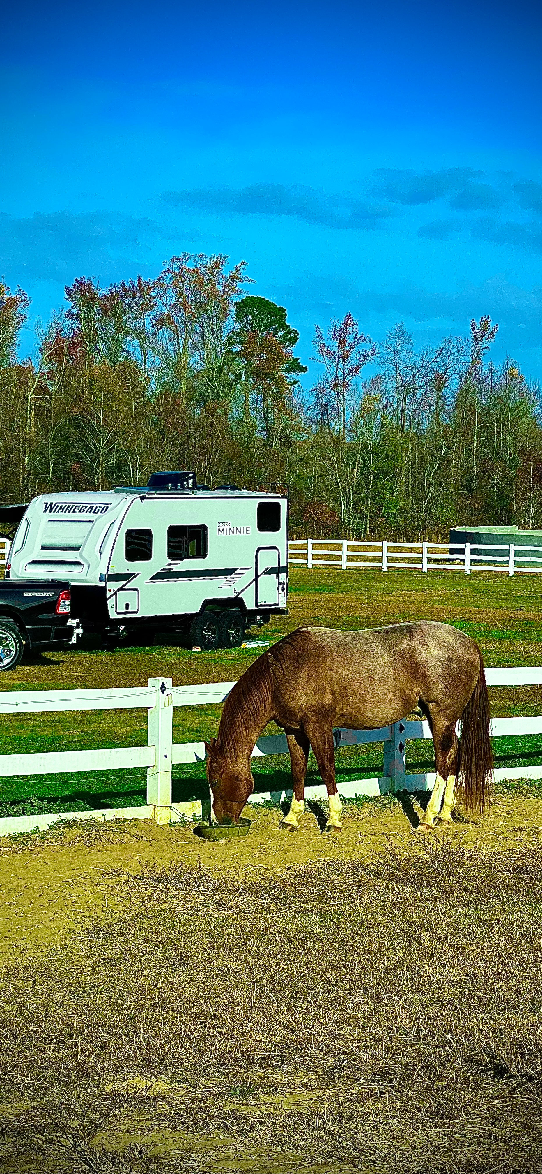 Horse Ranch-a short drive from 95