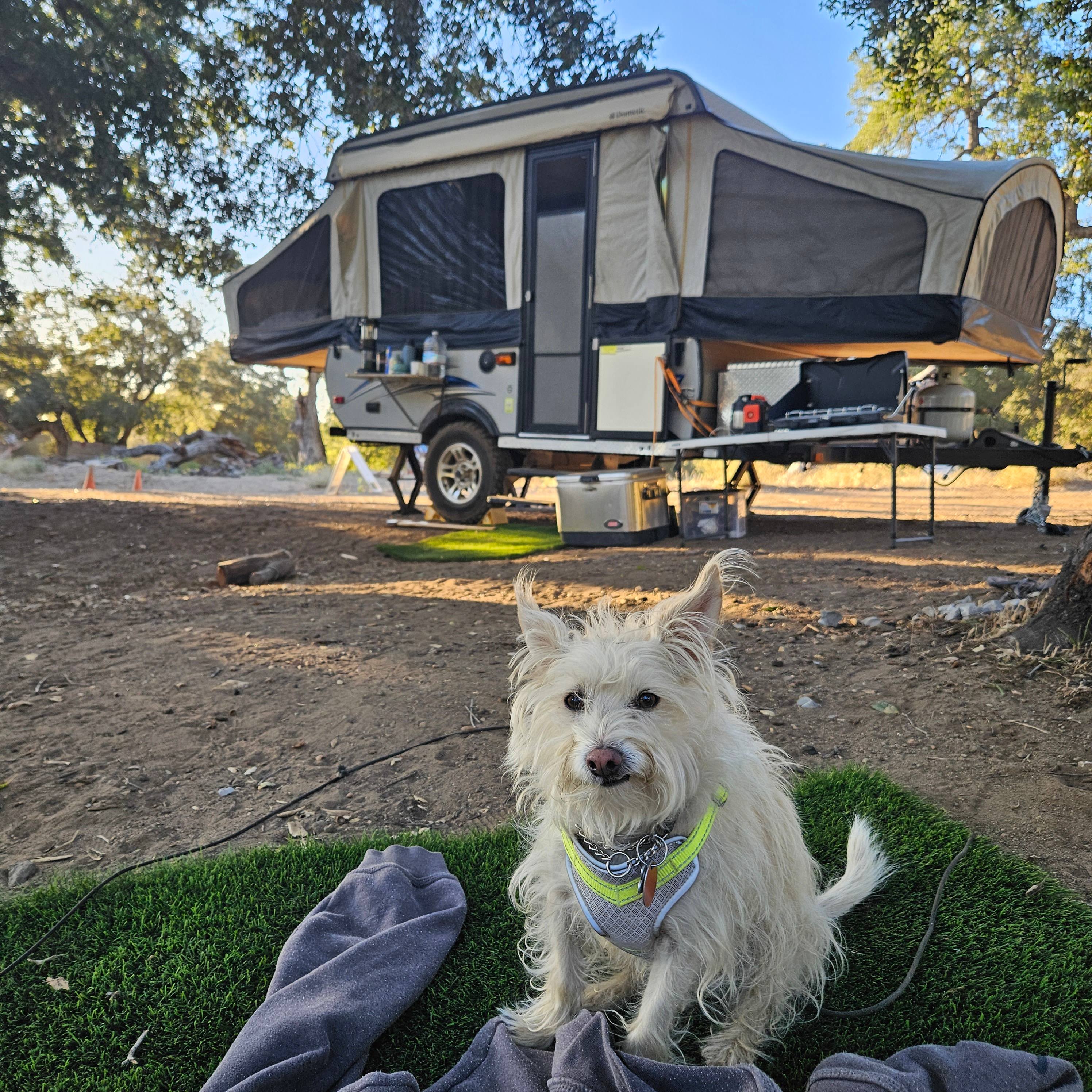 Magical Harrison Serenity Ranch