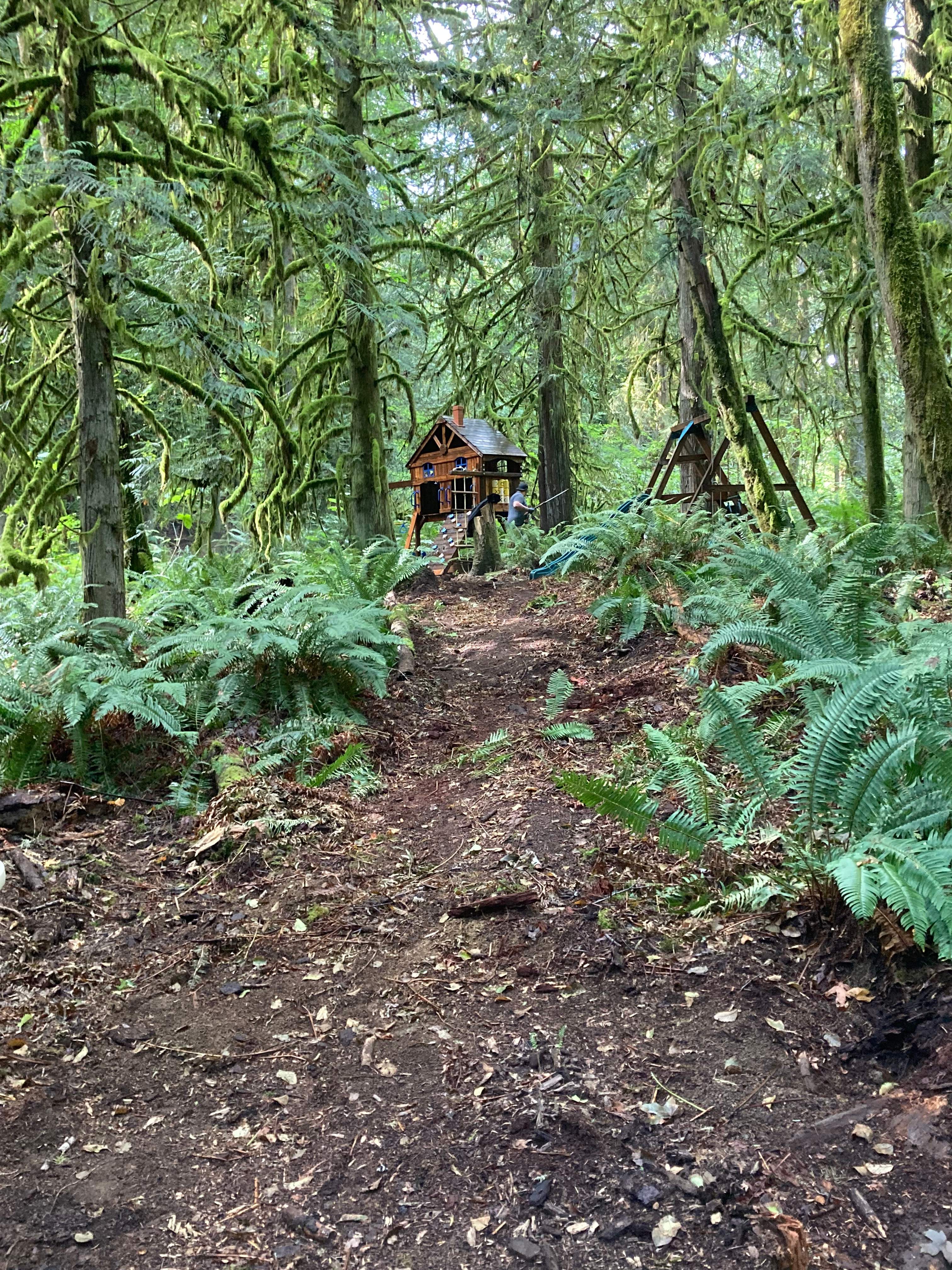 Carnation Moss Forest