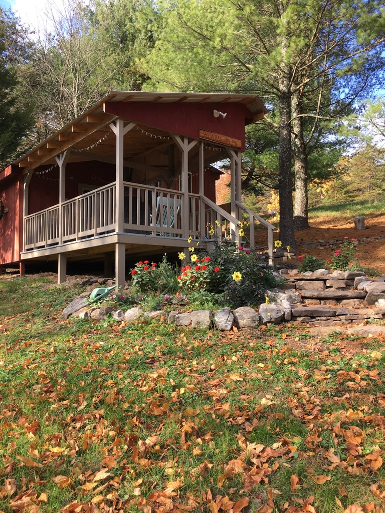 Sassafras Hollow