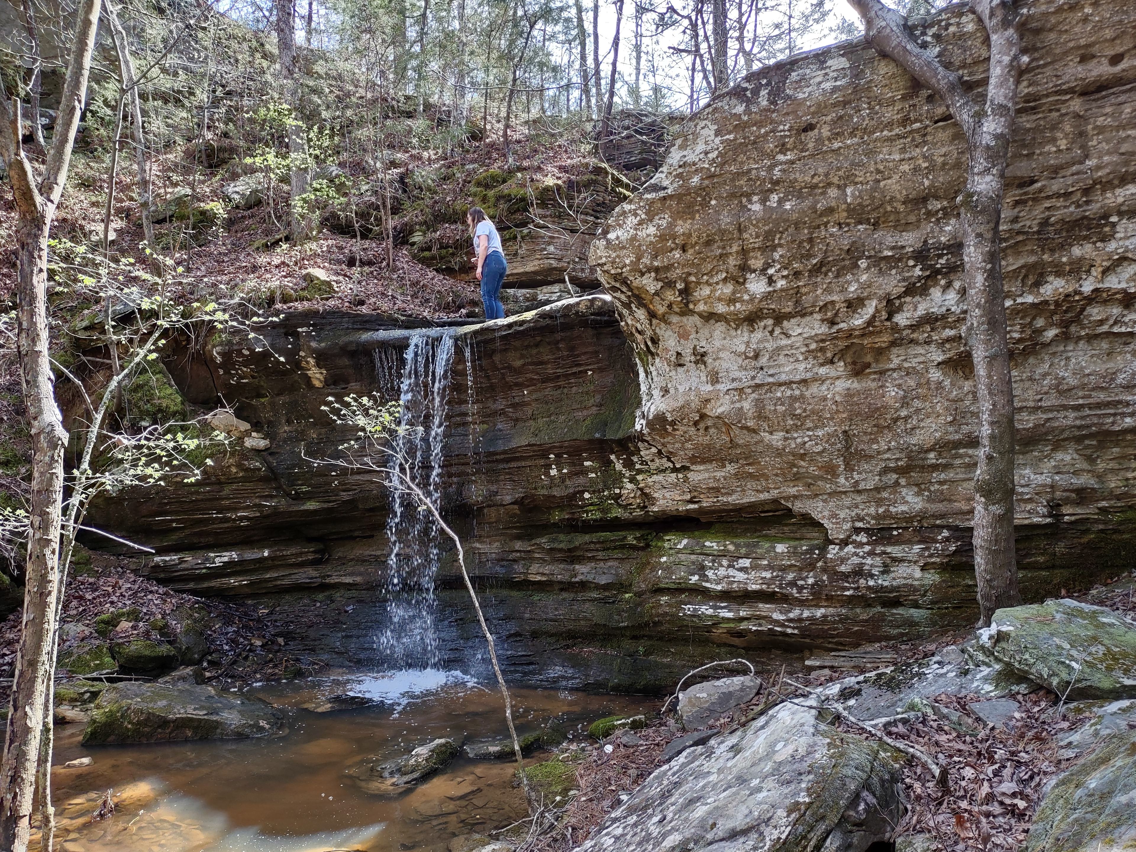 Spring Holler Farm