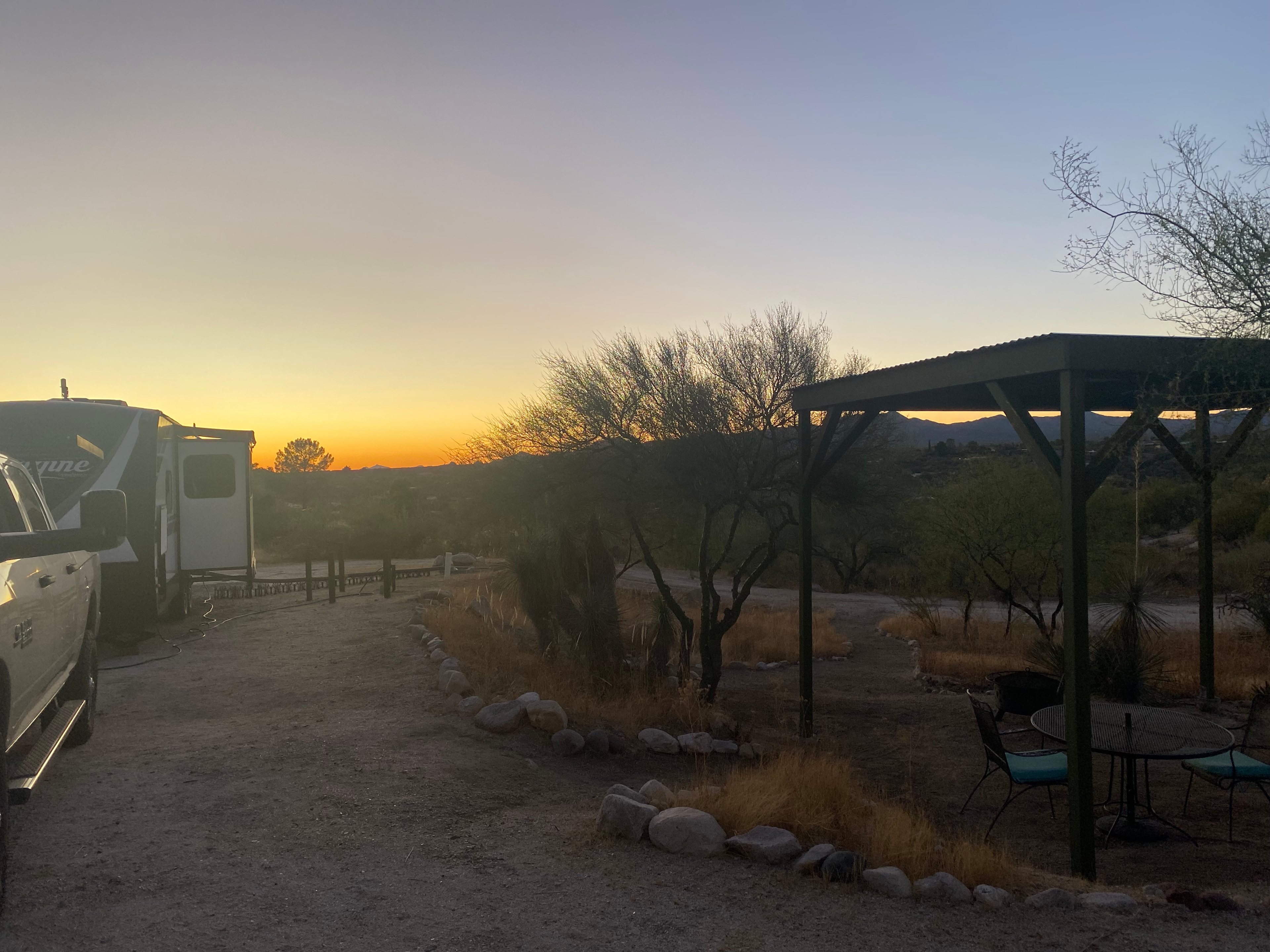 Freedom in the Catalinas