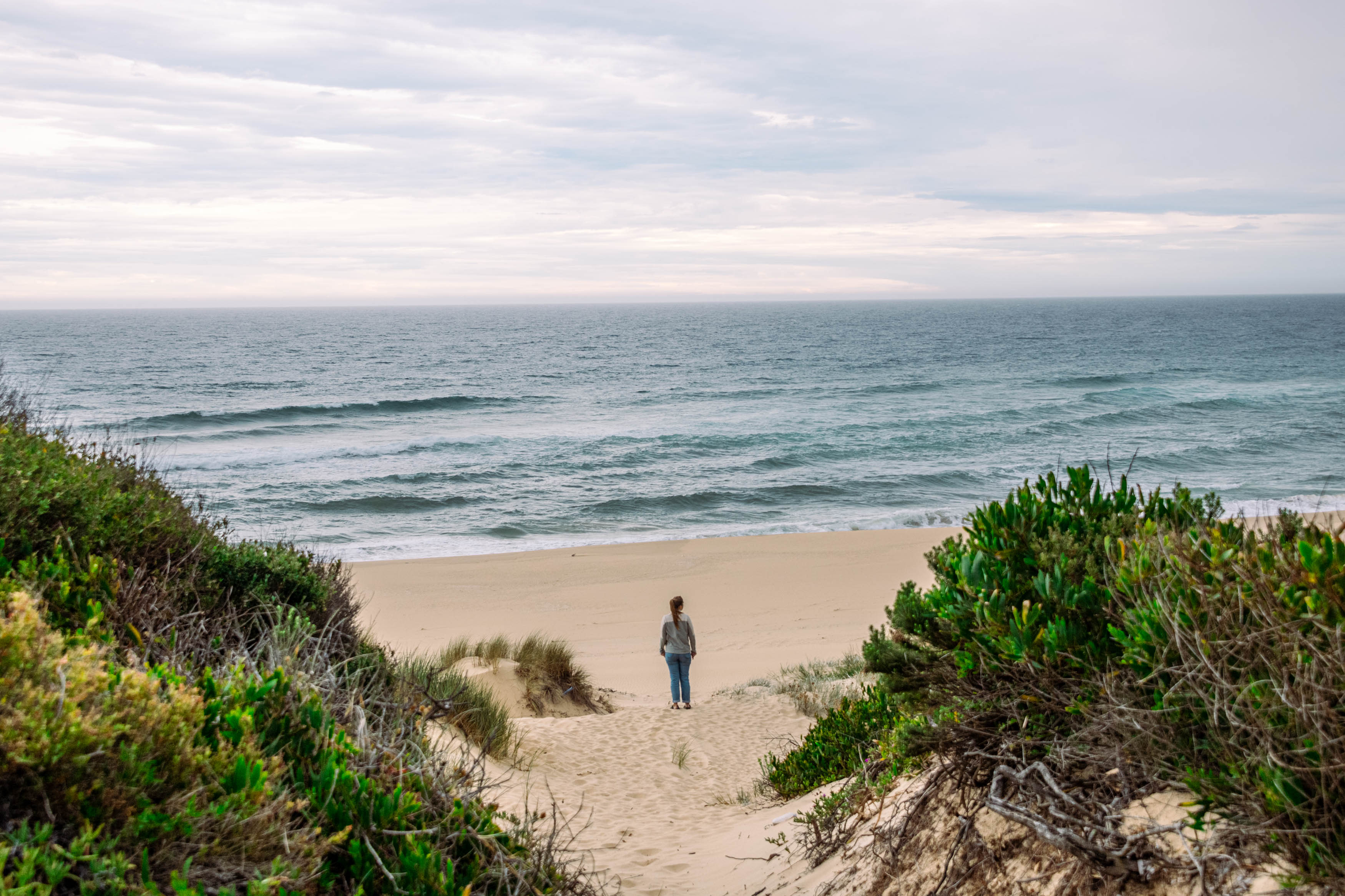 Arriving to the beach from the track starting at the carpark through the coastal dunes.