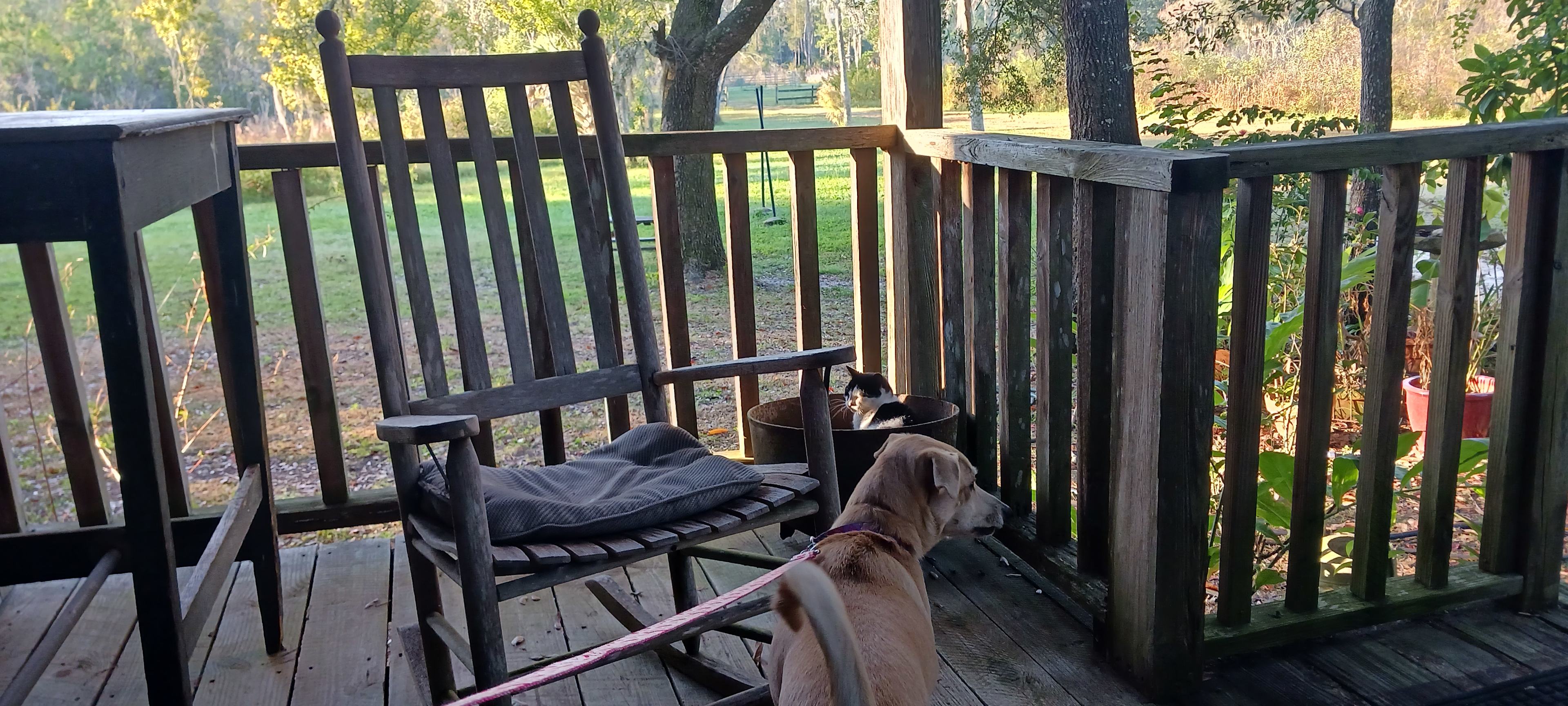 The Griffin Ranch 