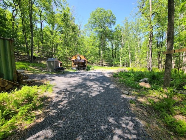 Primitive Cozy Cabin