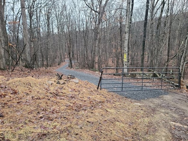 Primitive Cozy Cabin