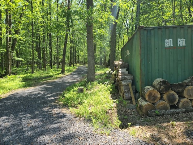 Primitive Cozy Cabin