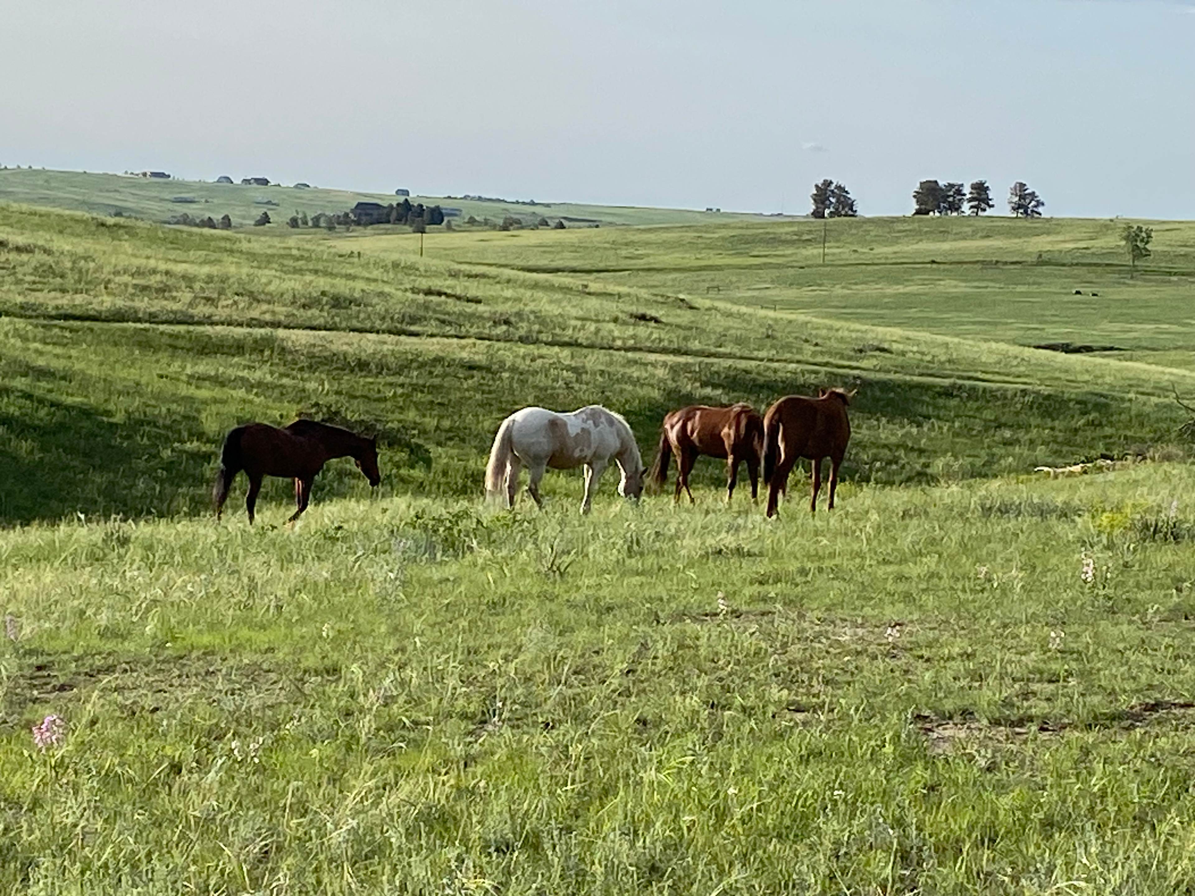 Frog Creek Ranch