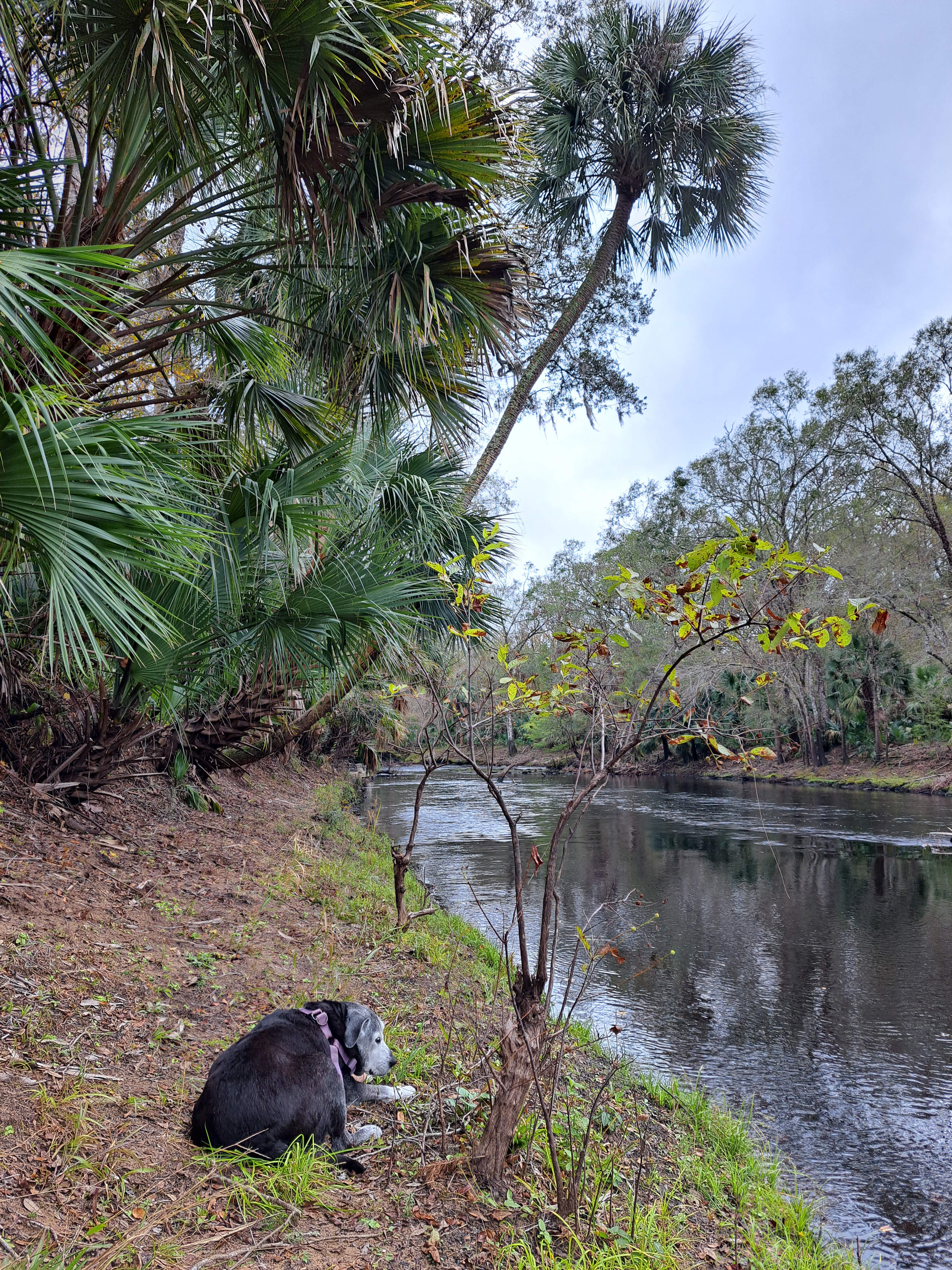 Mingo Acres on the River