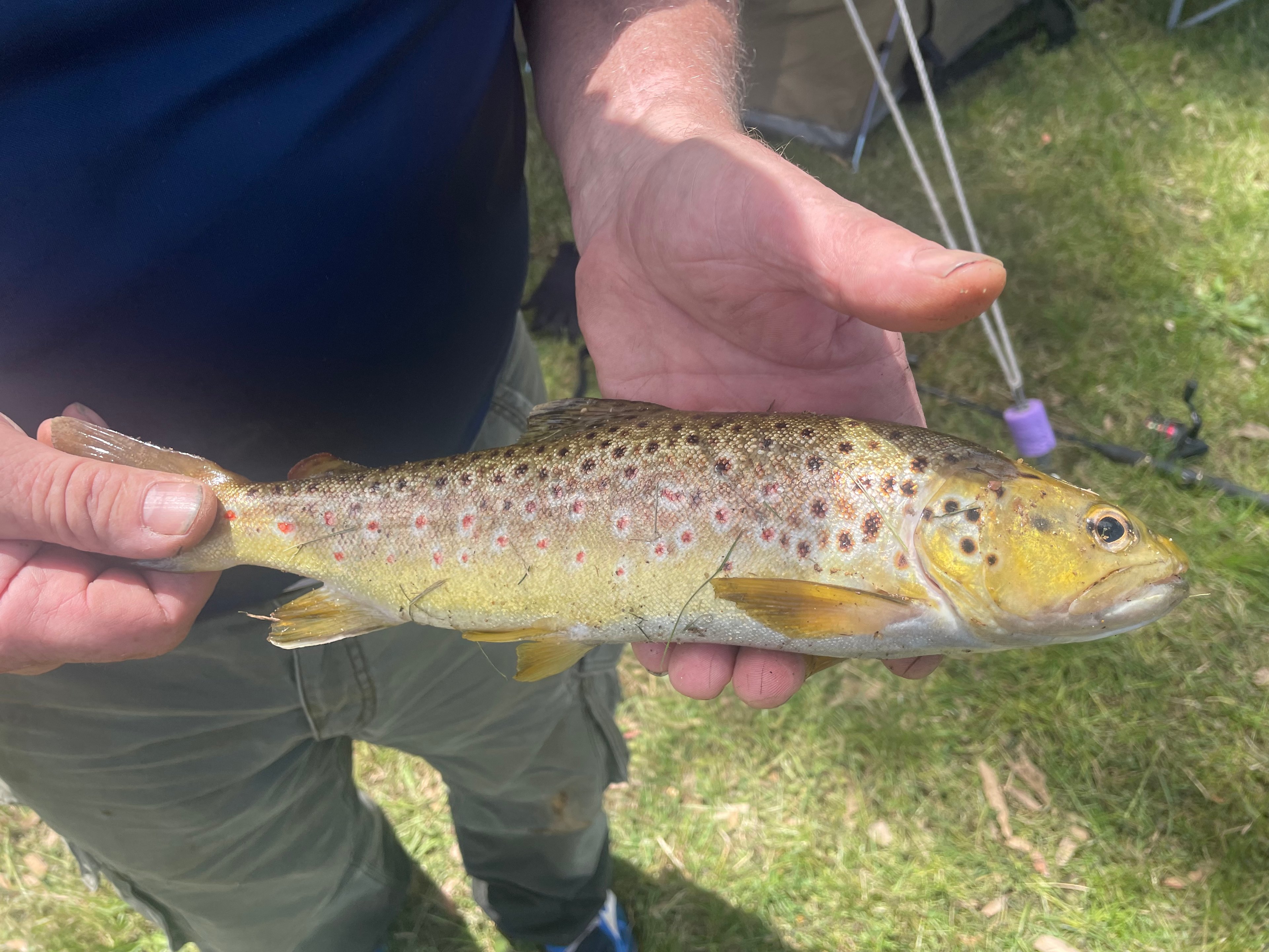 Abaminga Creekfront Flats