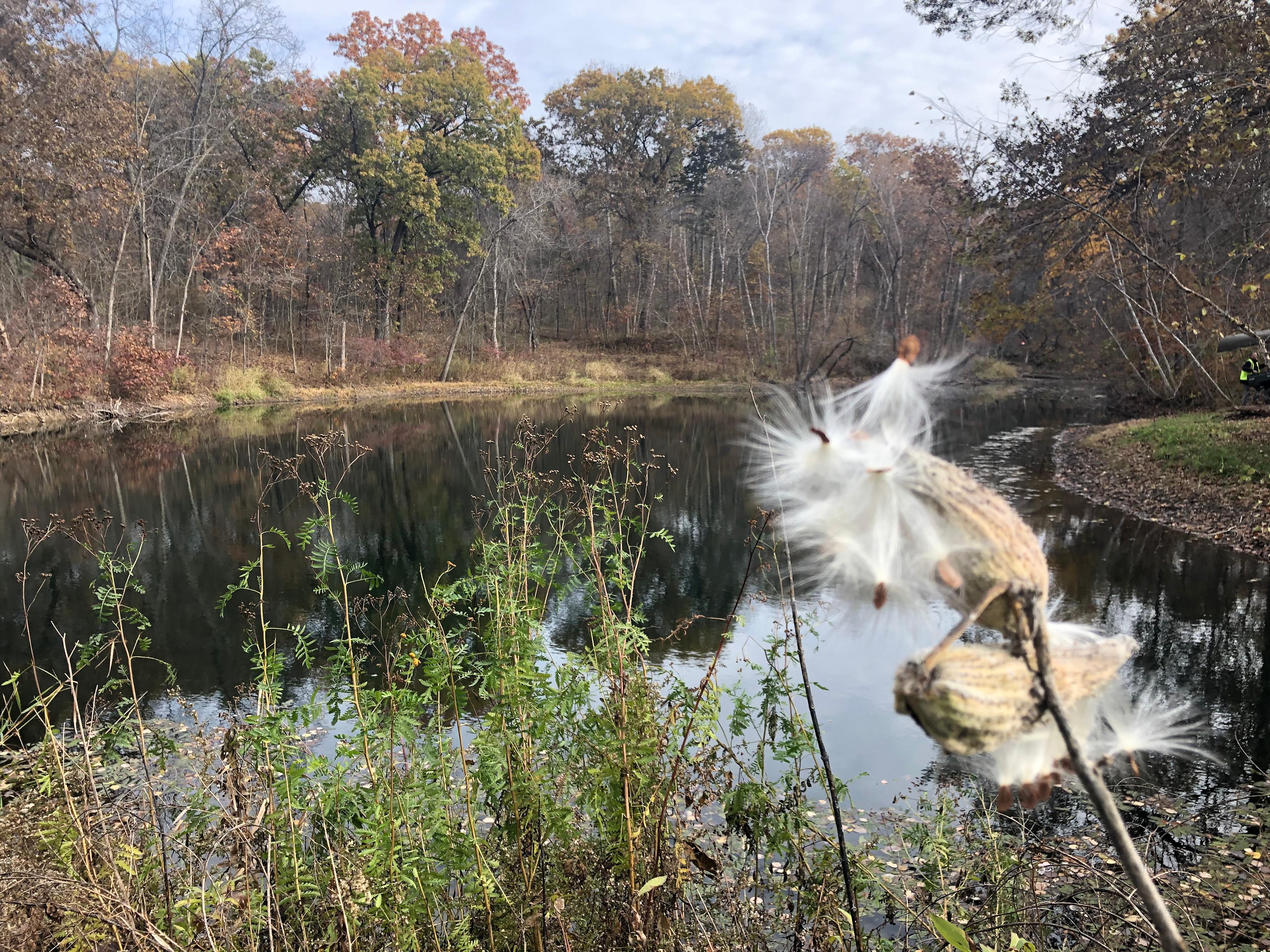 1/2 acre pond