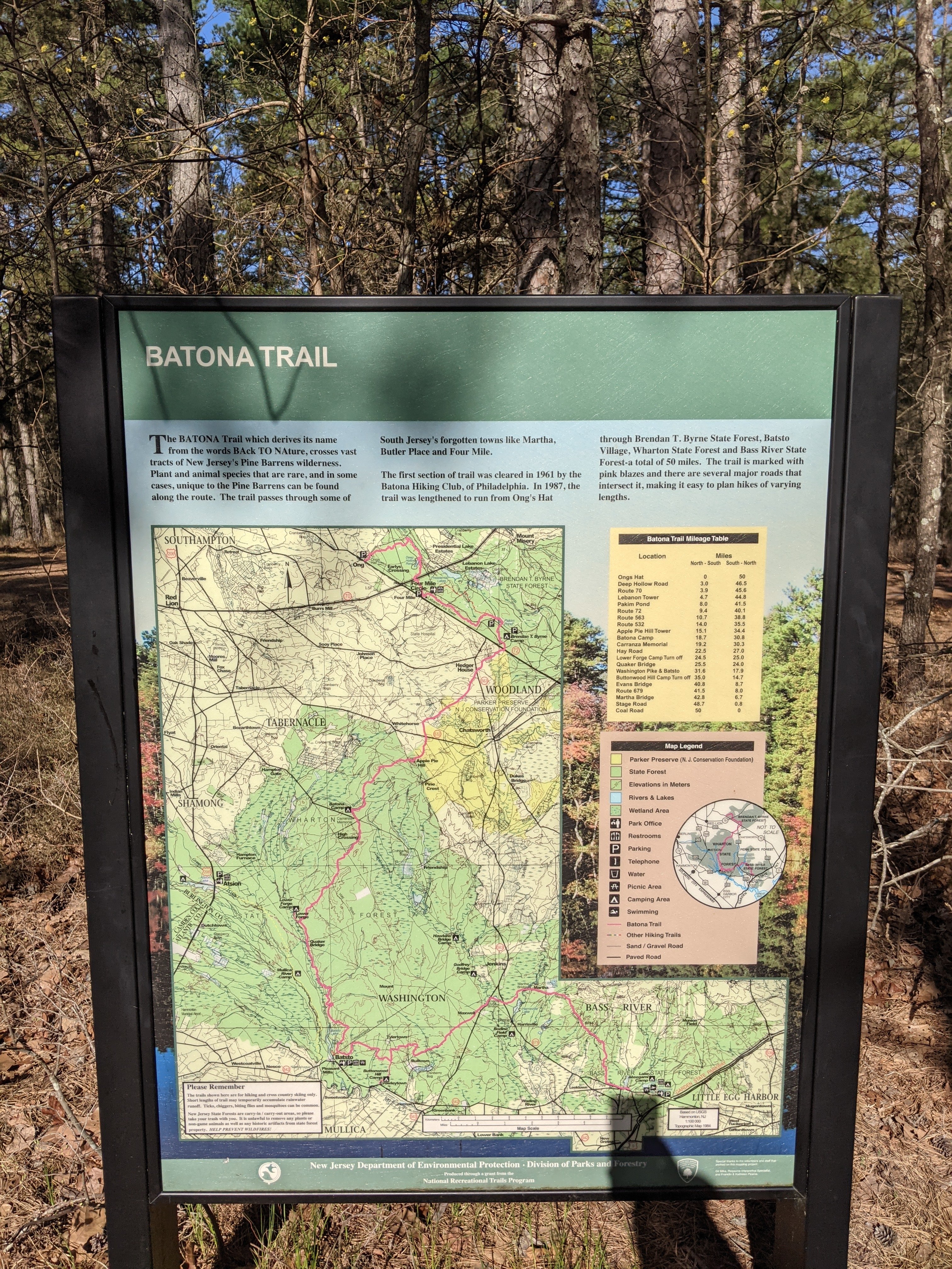 Wharton State Forest