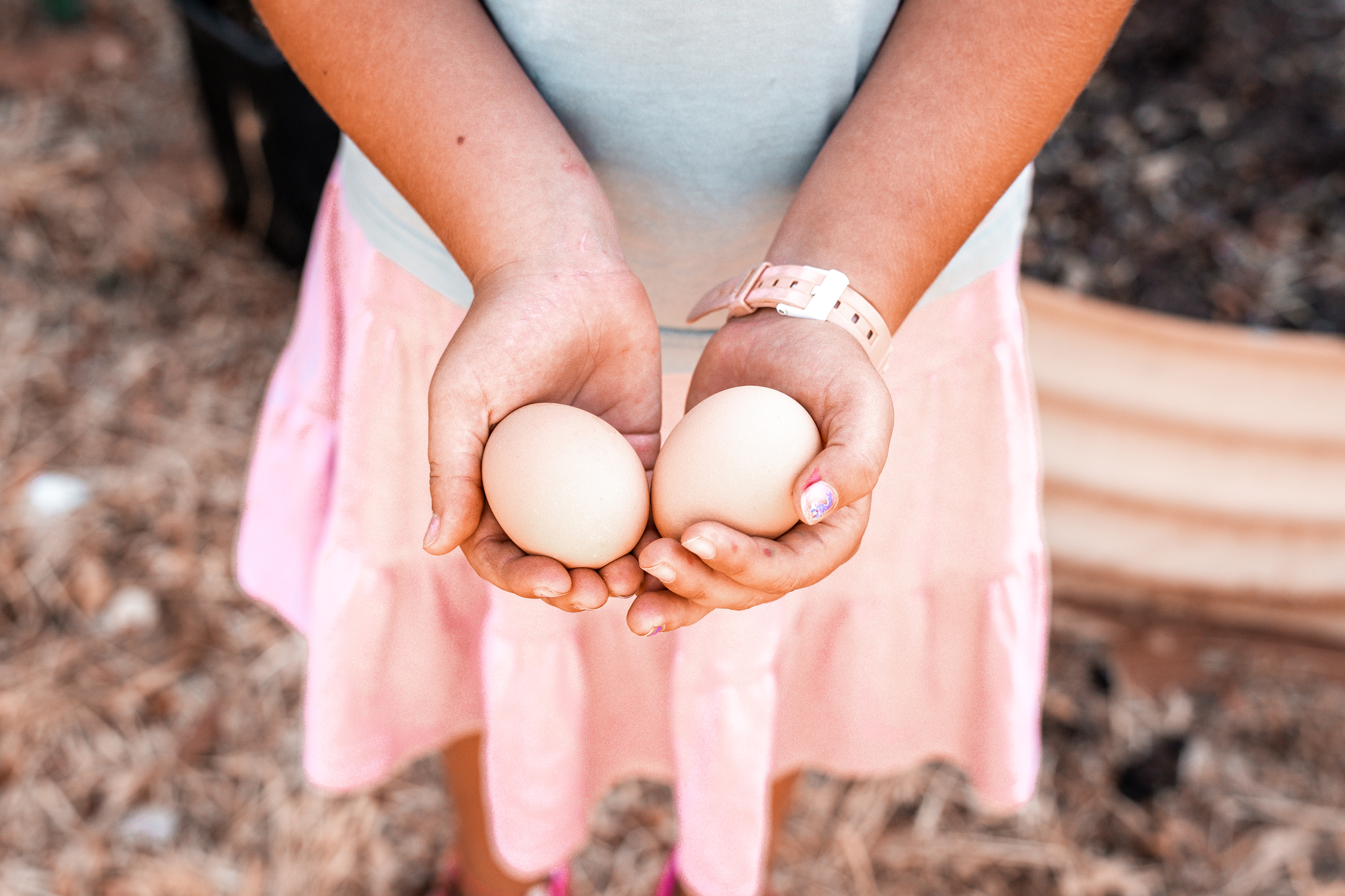 Finding some fresh eggs onsite to cook up a feast!