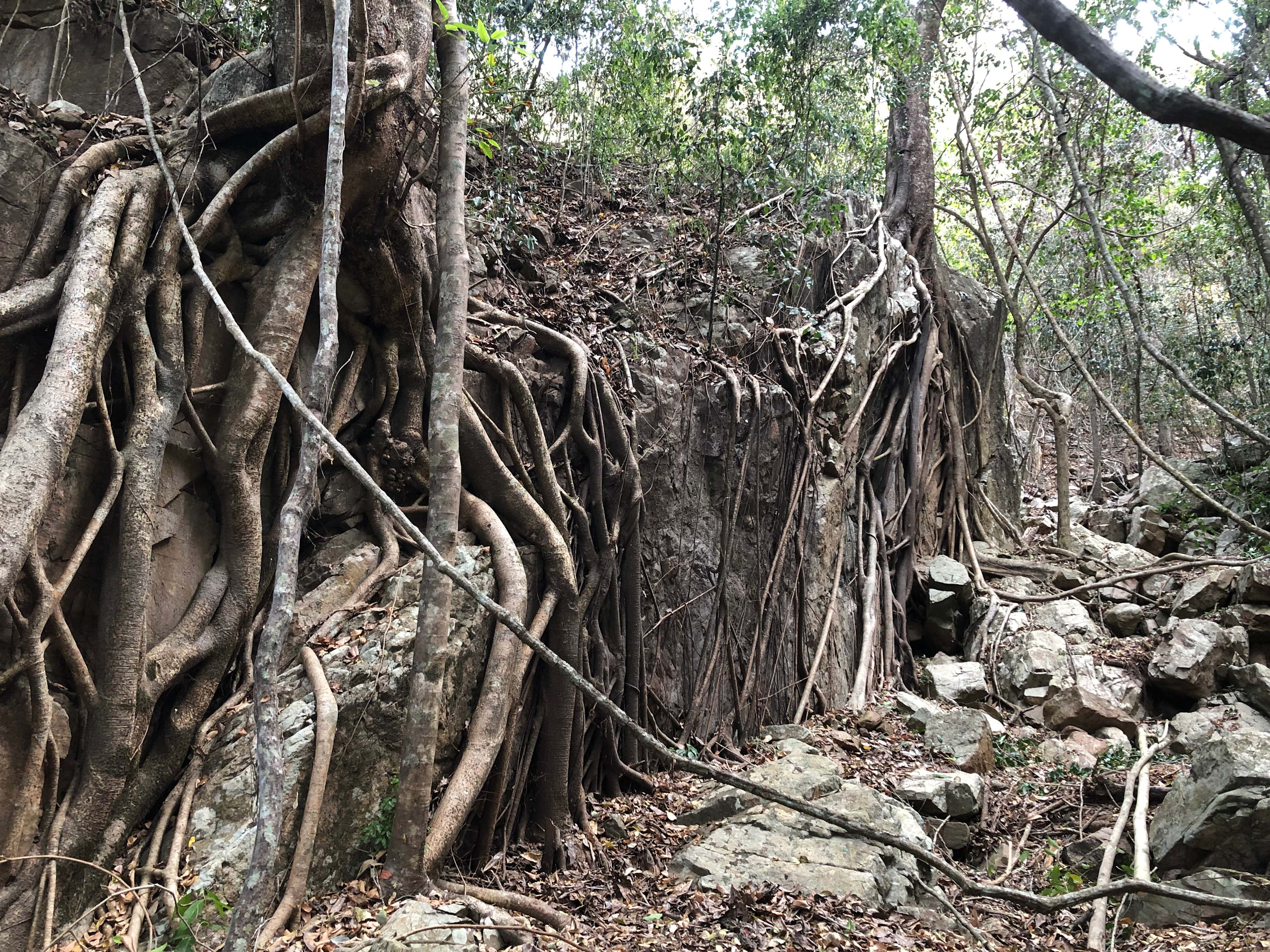Middle Creek Dam Campsites